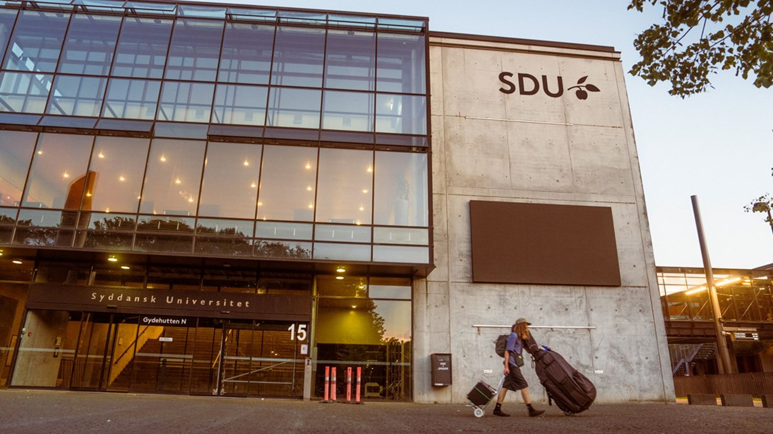 Man Hansen er ny professor i traumepsykologi på SDU.