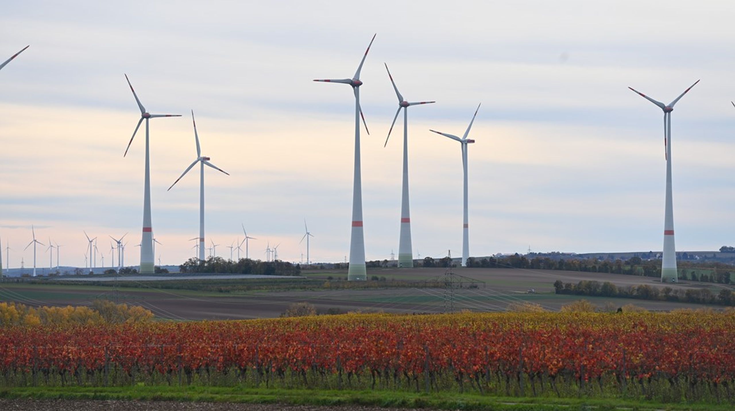 Hanne Storm Edlefsen er ny seniorrådgiver i Concito.