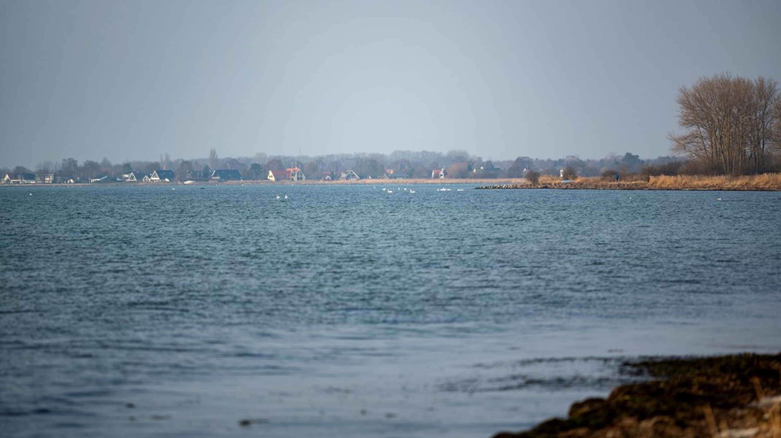 Vi opfordrer de kommende byråd til i langt højere grad at arbejde med klimatilpasningspartnerskaber, både internt i kommunens forvaltninger og eksternt med virksomheder og lokalsamfund, skriver fem forskere fra Syddansk Universitet.<br>