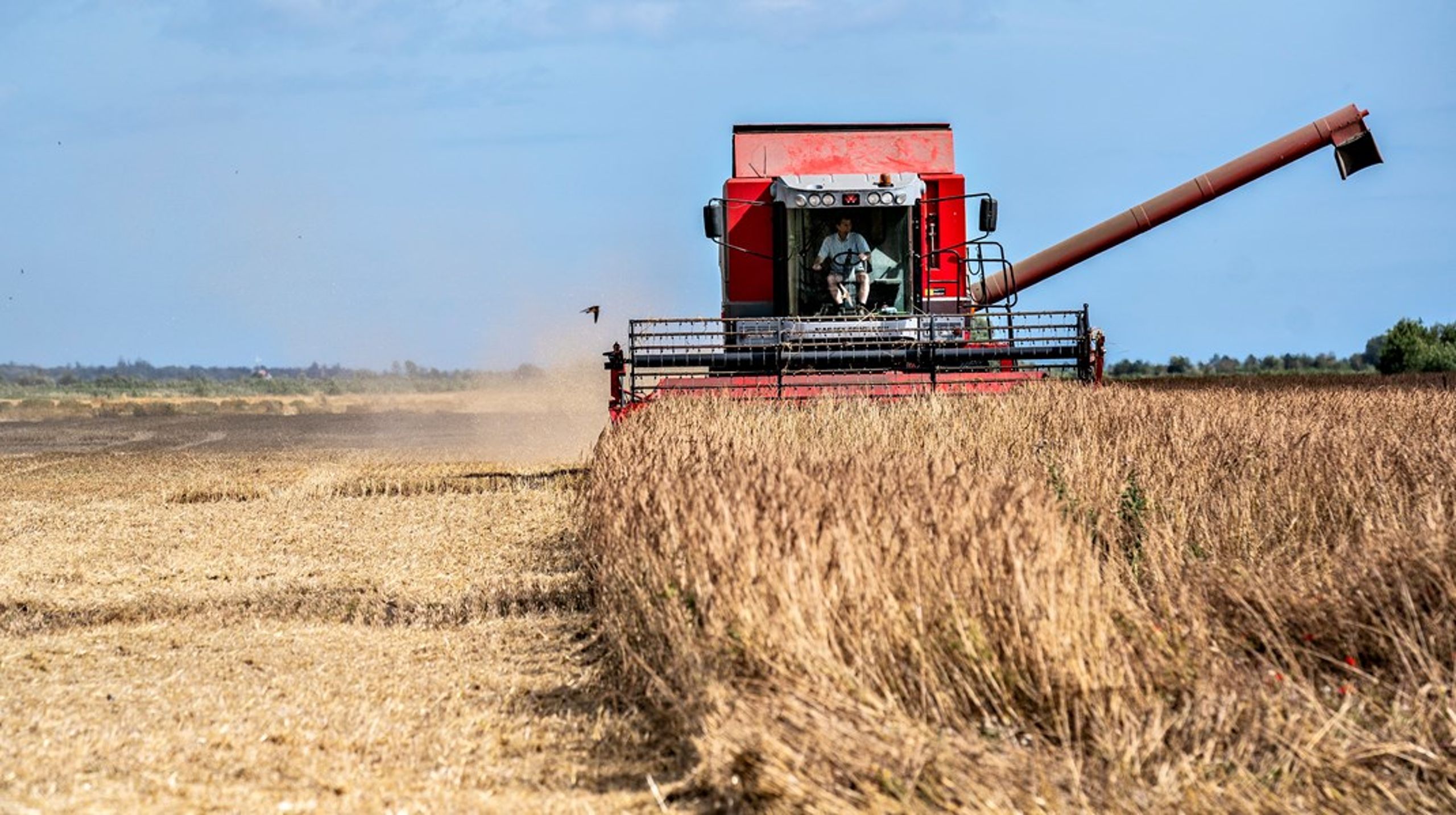 Landboforeningen har fundet tre nye medlemmer til direktionen.