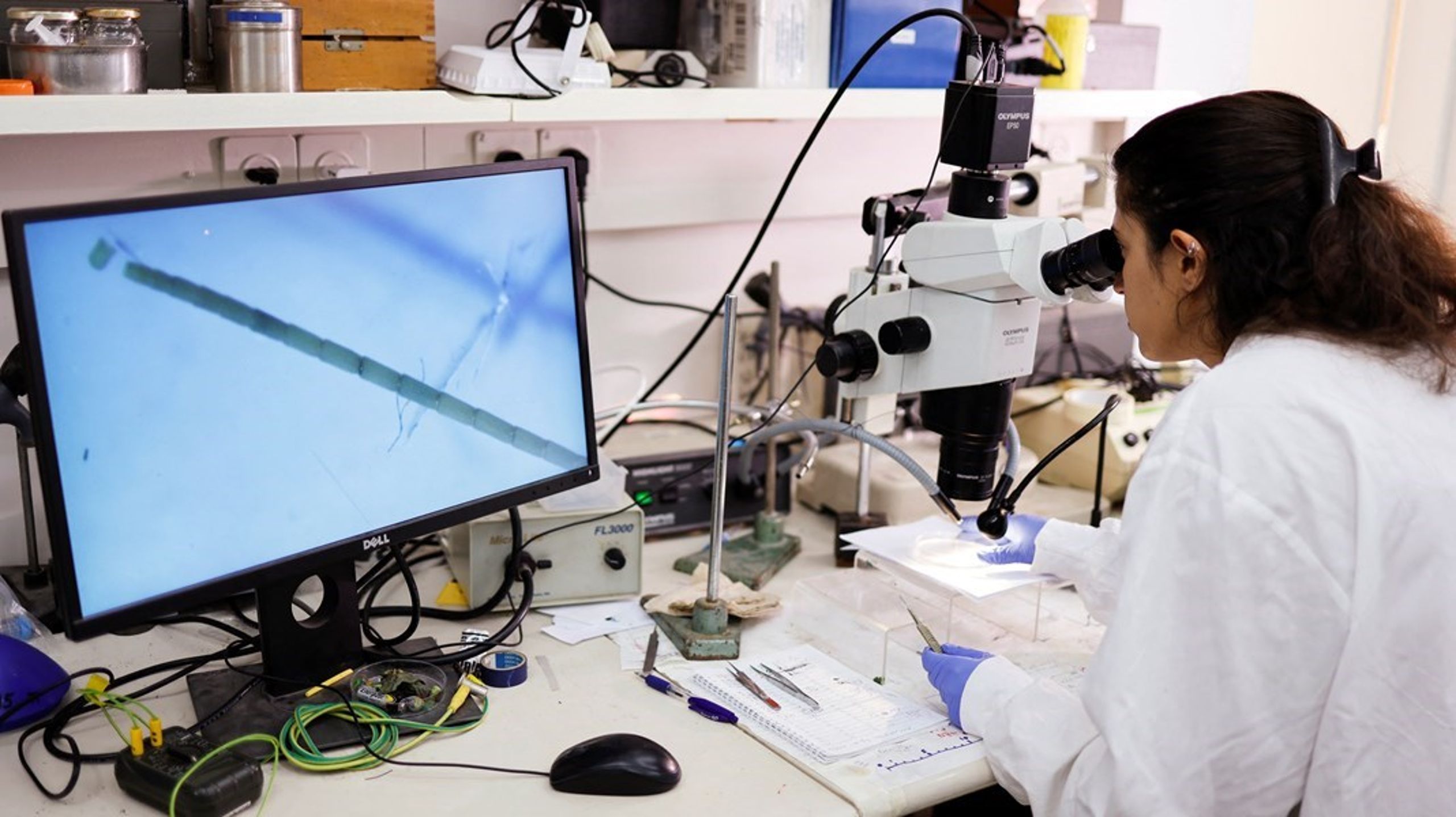 Hvis staten, kommunerne og regionerne skal løse de store samfundsopgaver, må de offentlige arbejdsgiverne indse, at konkurrencedygtig løn er en forudsætning, skriver Malene Matthison-Hansen.