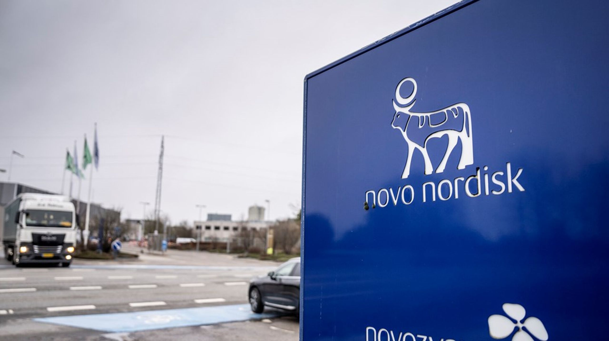 Medicinalgiganten Novo Nordisk havde ved udgangen af 2024 over 30.000 medarbejdere i Danmark.&nbsp;