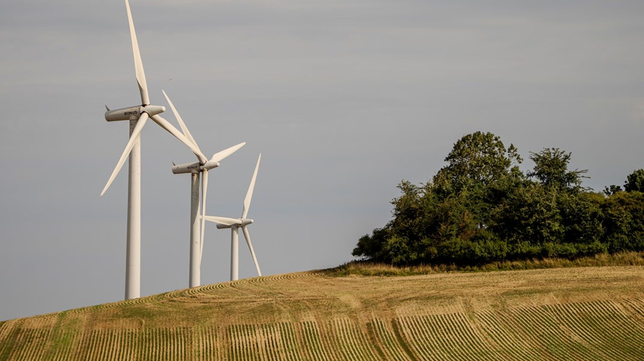 Lene Hellstern er ny direktør i Wind Power Lab.