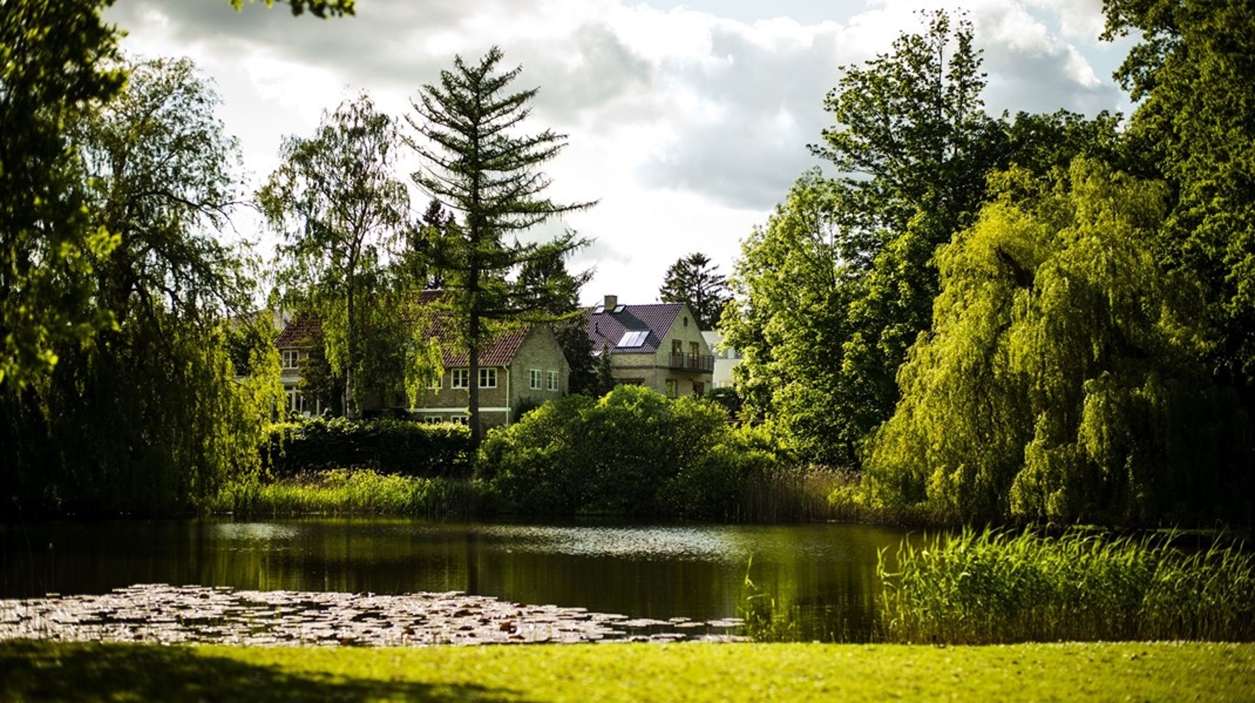 Ekstraordinært store indtægter har styrket den økonomiske grundform i særligt én kommune med velhavende borgere. Men det er ifølge kommunen rent midlertidigt.