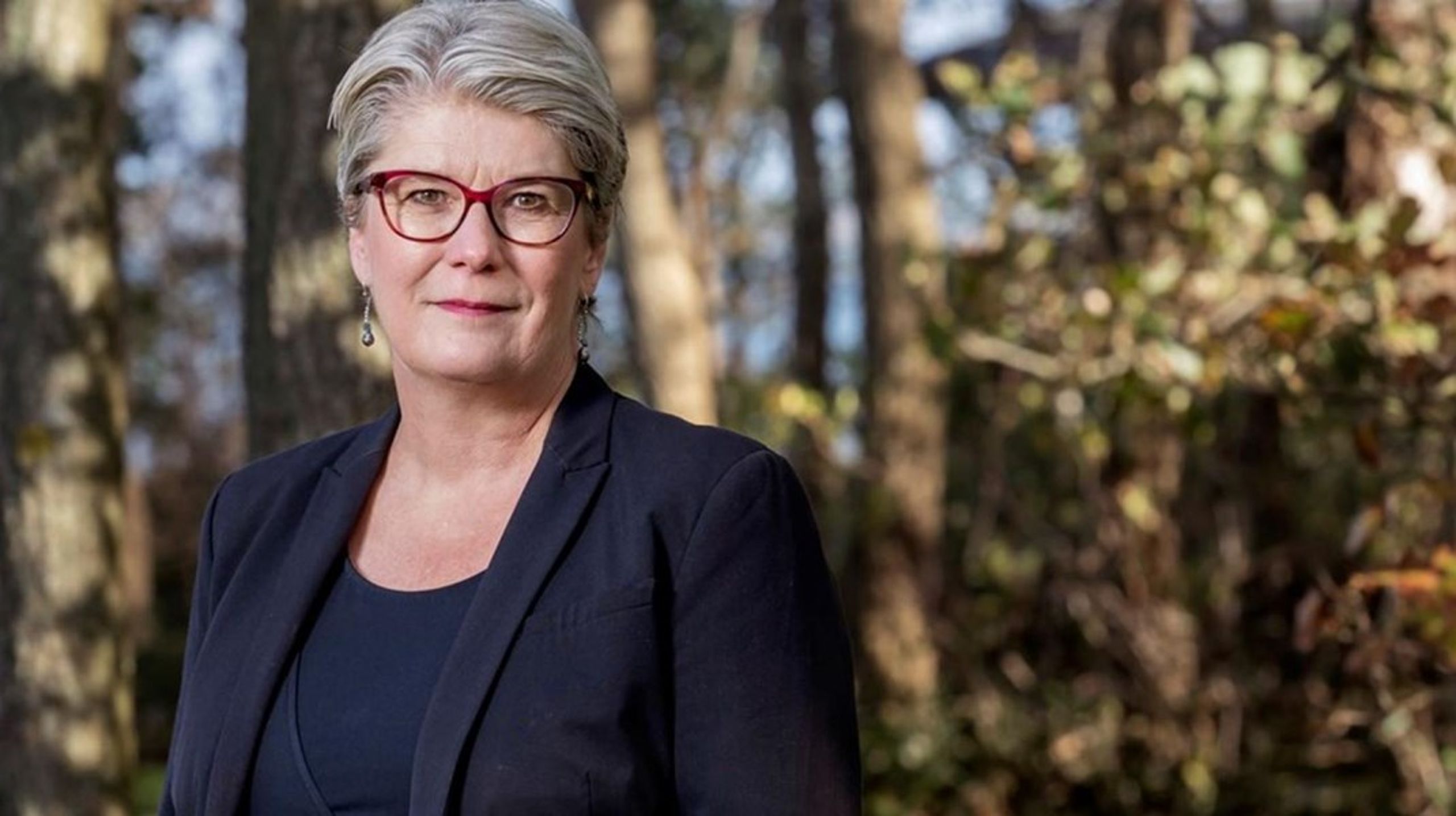 Gitte Lillelund Bech sad som folketingsmedlem for Venstre i fire år og var forsvarsminister fra 2010 til oktober 2011.