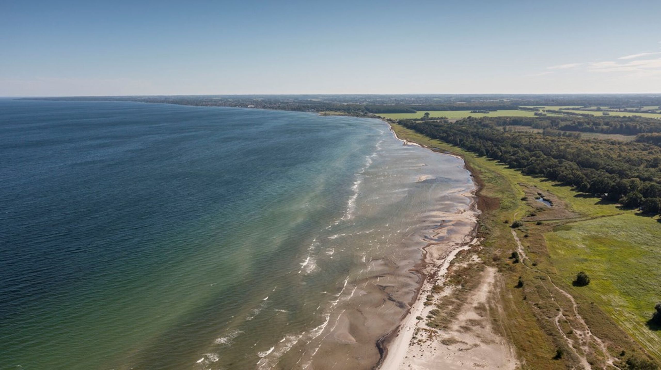 Køge Bugt bliver med al sandsynlighed en del af den nye marine naturnationalpark i Øresund. Den anden park skal ligge i Lillebælt.