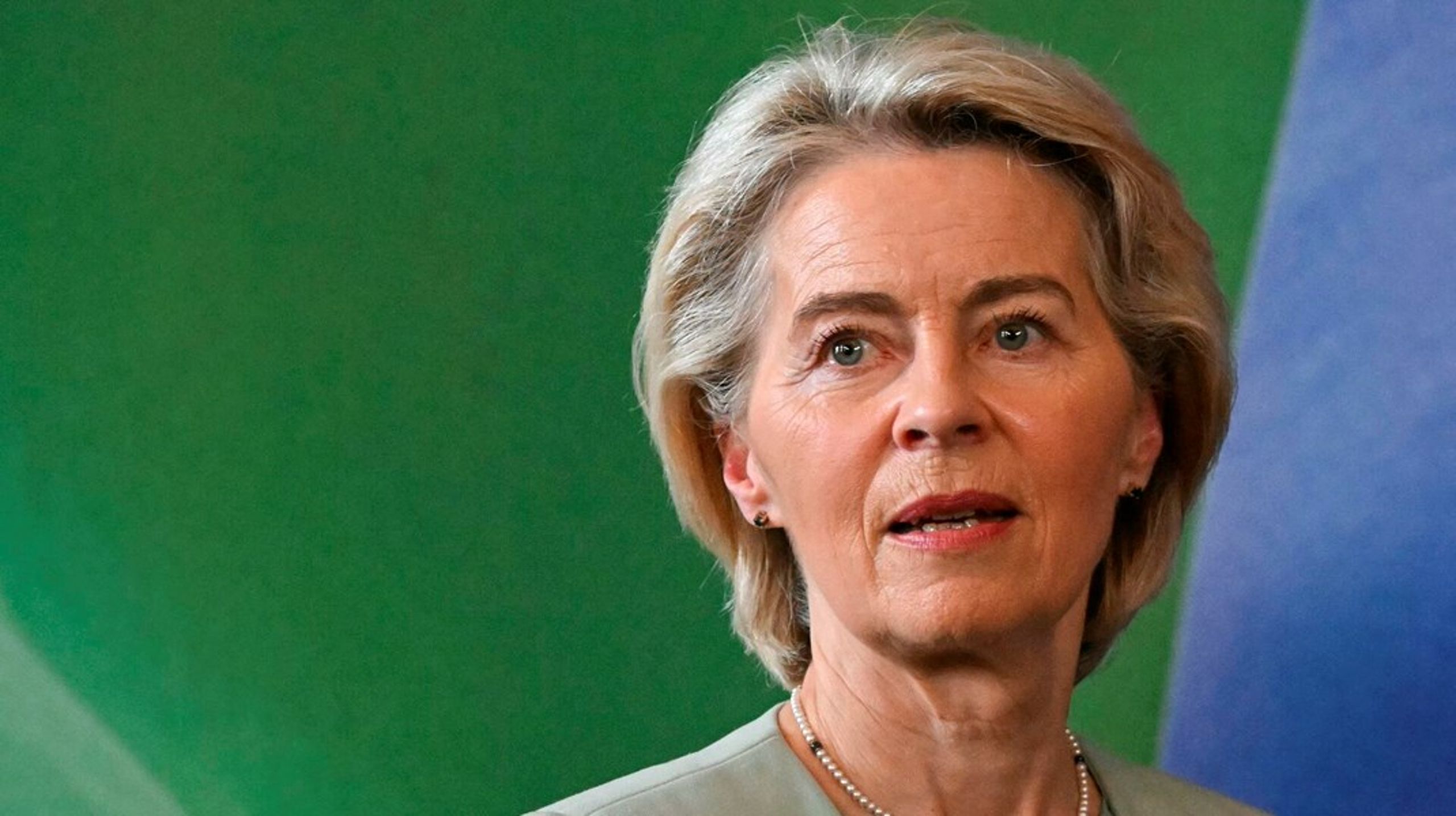 Patrioter for Europa stillede mistillidsforslaget i protest mod EU's handelsaftale med Mercosur-landene.