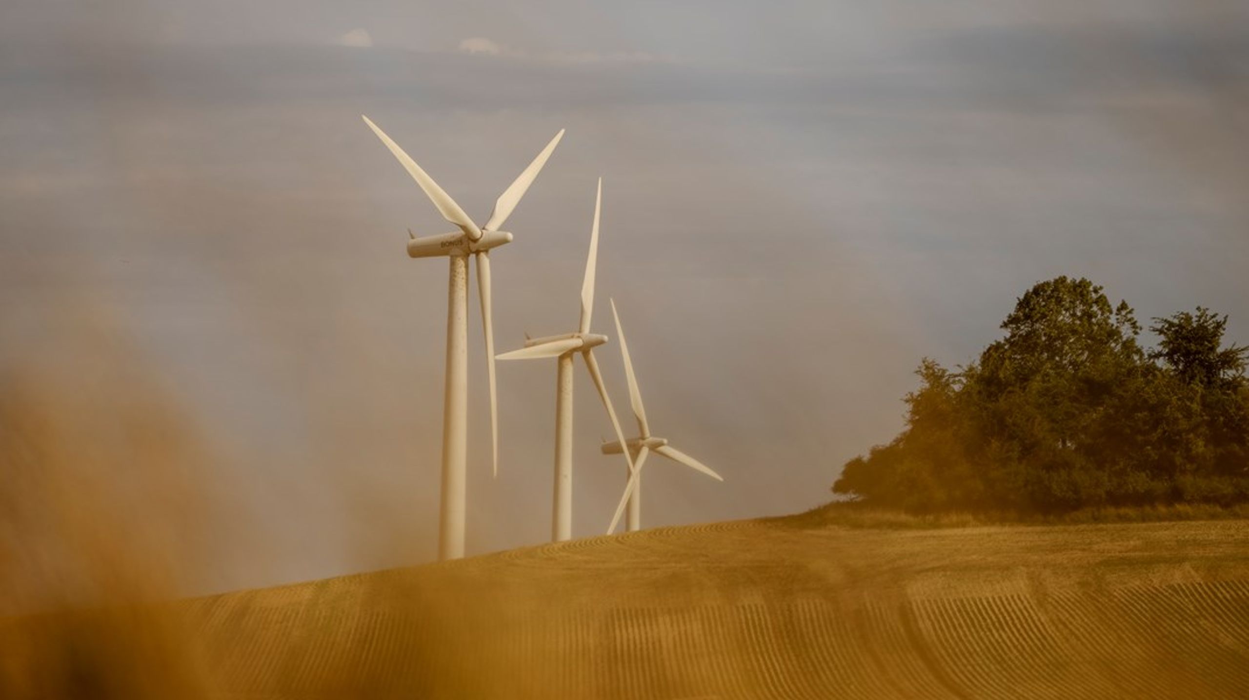 Flere er trukket i træningstøjet. I dele af Thy sætter de solcelle- og vindmølleprojekter til afstemning i de lokalsamfund, hvor anlæggene skal integreres, skriver&nbsp;Sebastian Mernild og Charlotte Autzen.