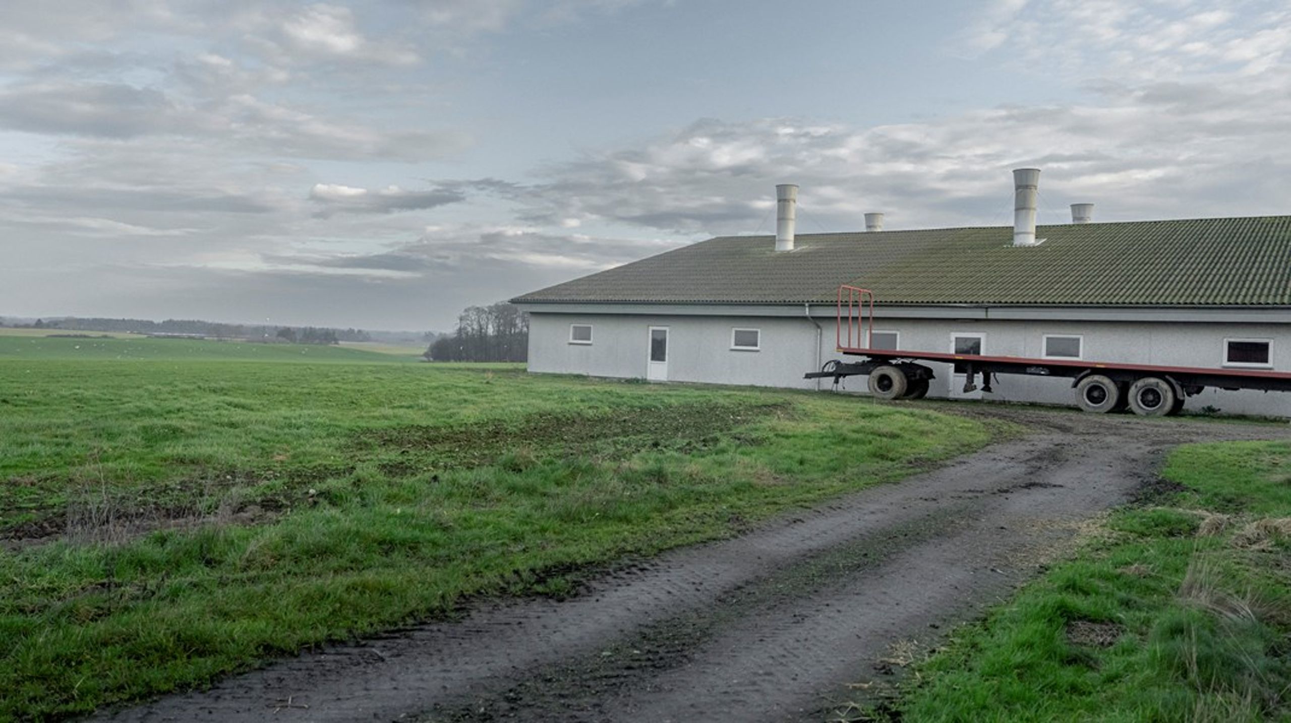 Efter Landbrug &amp; Fødevarers svar på vores kronik står vi undrende tilbage, skriver Marcus Feldthus og Oscar Haumann.