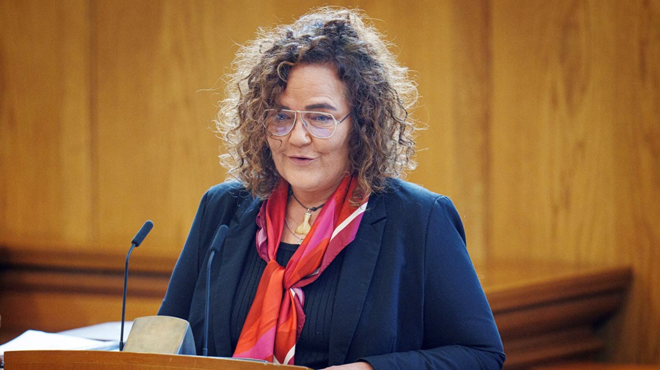 Moderaternes forslag om en ny midlertidig pulje er inspireret af en anbefaling fra Ydelseskommissionen, fortæller Nanna Gotfredsen.&nbsp;