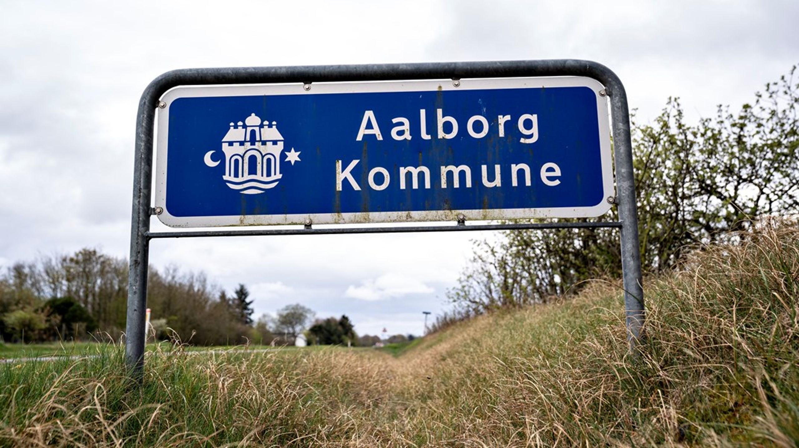 Mikkel Grimmeshave er konstitueret direktør for Klima, Sundhed og Kultur i Aalborg Kommune