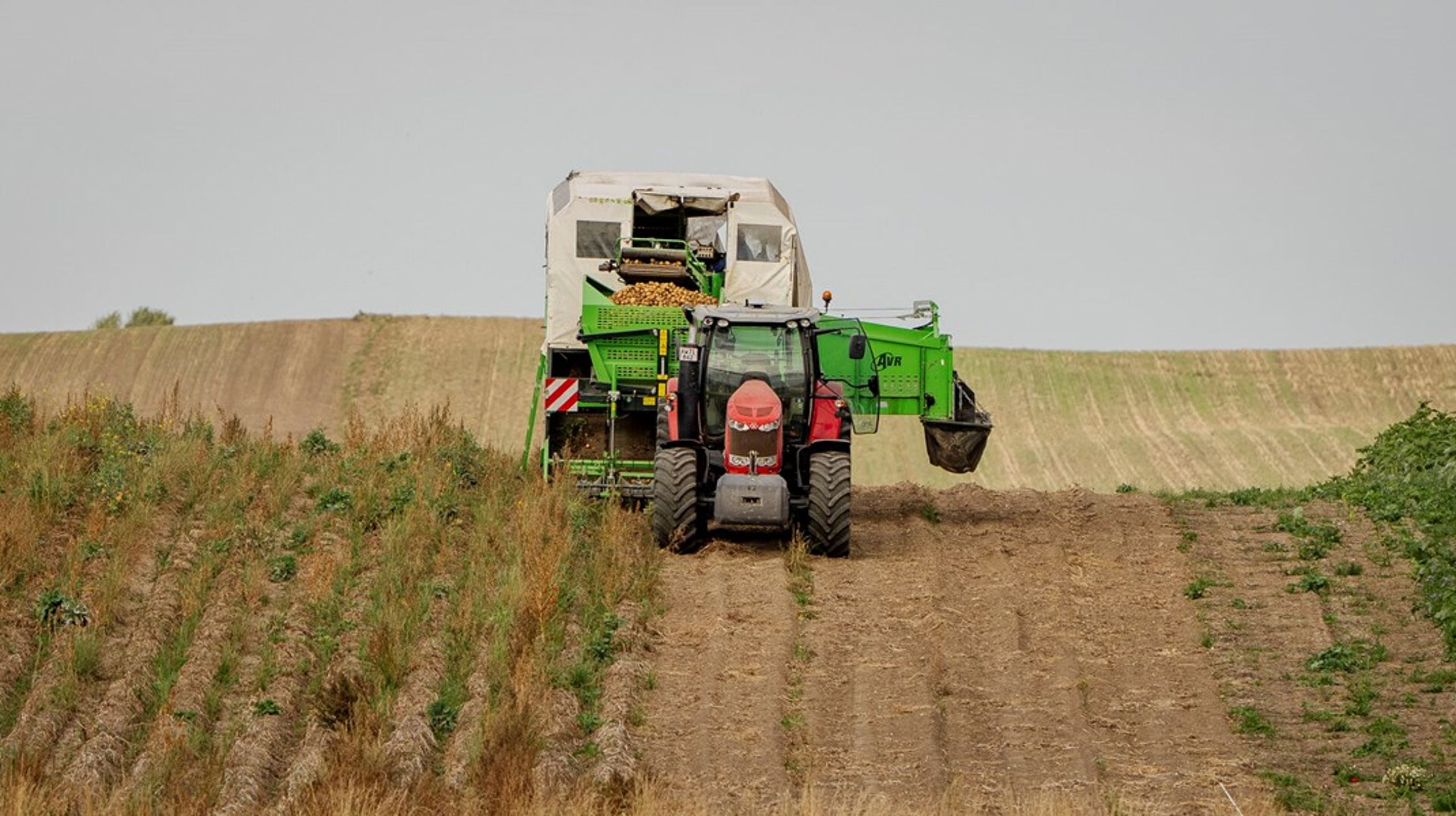 Fødevareforsyningssikkerhed rummer både mængder, diversitet og robusthed, og derfor er det vigtigt løbende at drøfte, hvordan&nbsp;vi kan omstille og udvikle&nbsp;produktionen, skriver&nbsp;Martin Hjort Jensen.