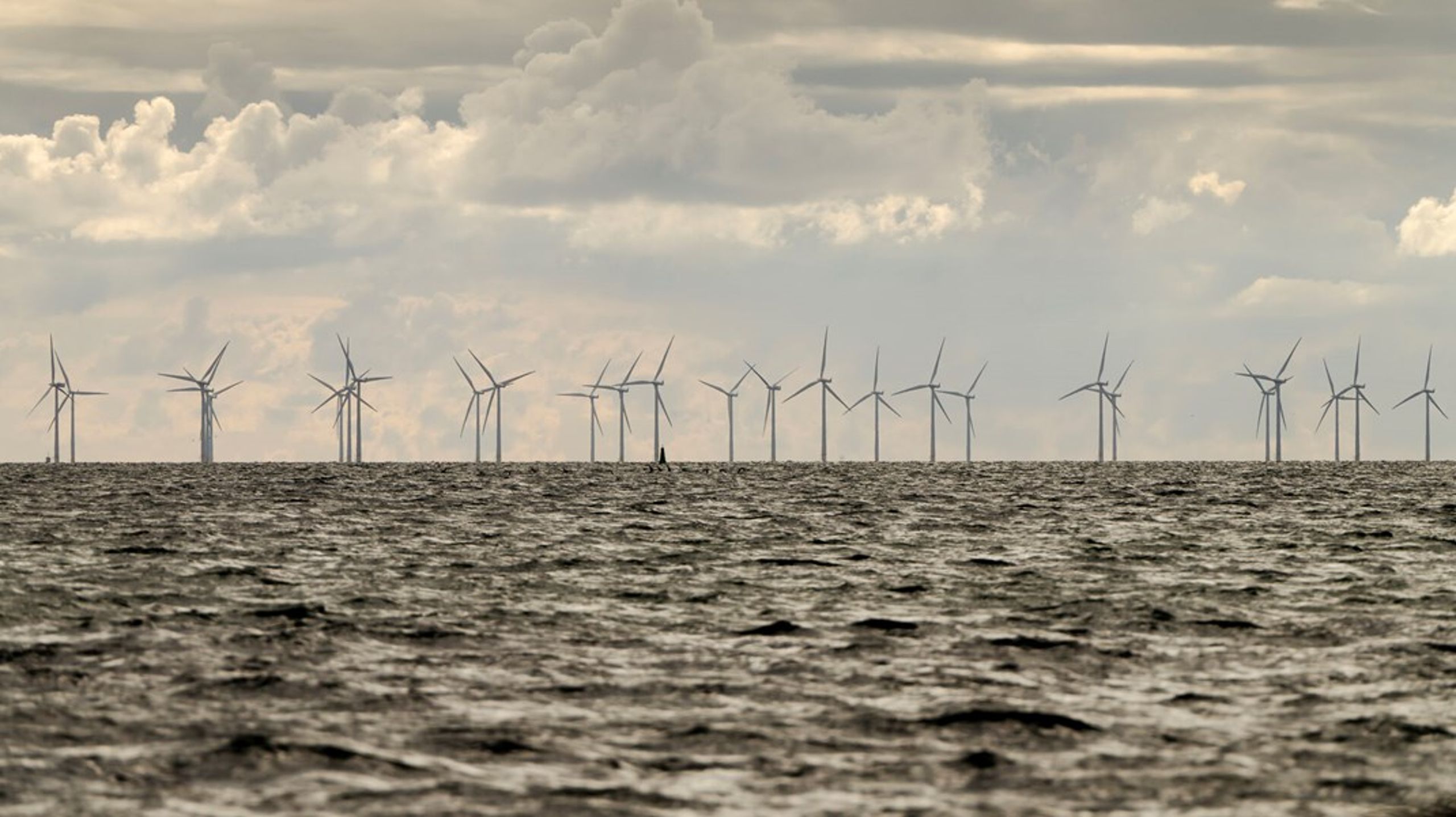Sameksistens kan være et relevant princip mange steder i havet. Men naturnationalparker er ikke&nbsp; “mange steder”, skriver&nbsp;Maria Reumert Gjerding og Torben Kaas.<br>
