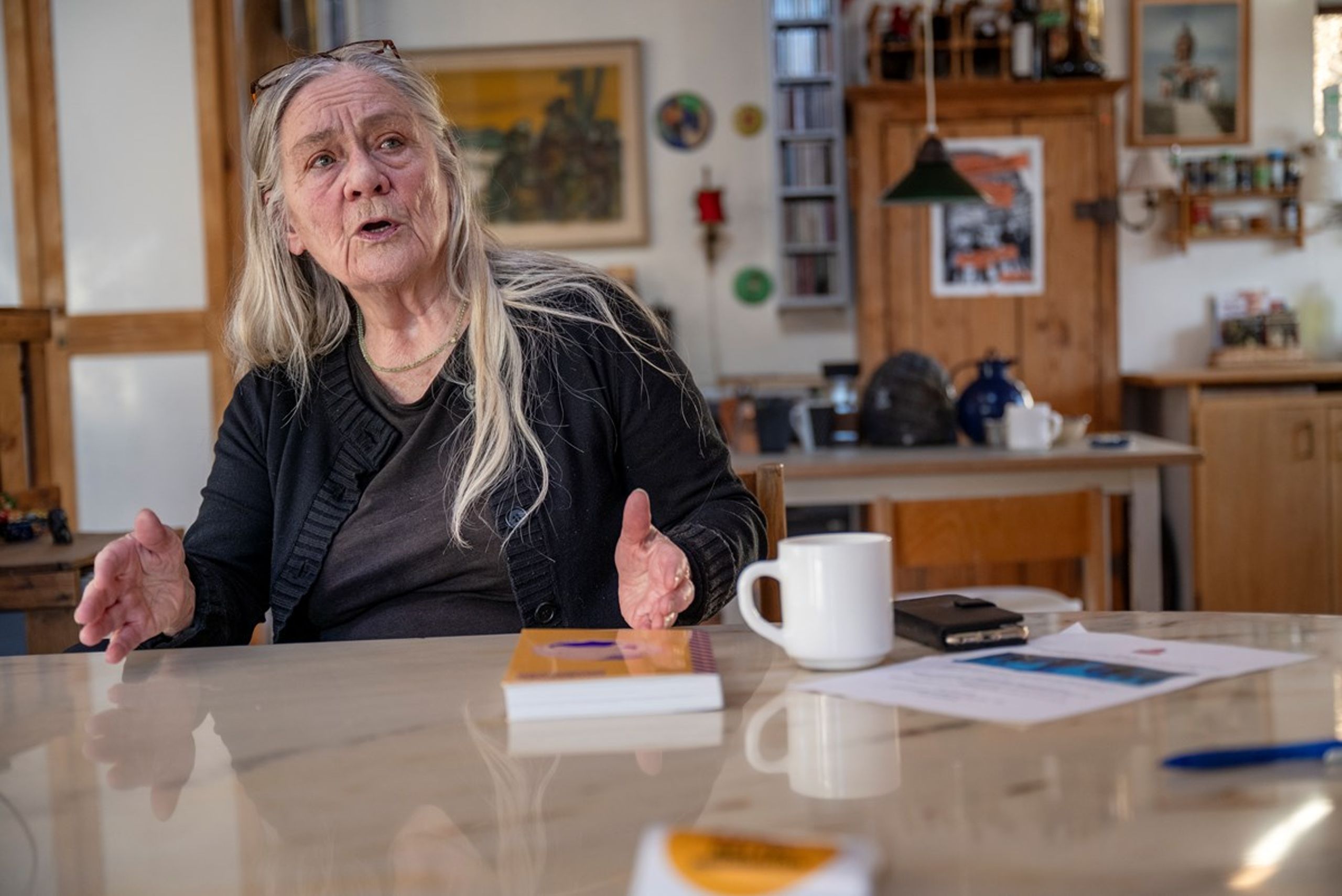 <div>"Hvis man vil gå på gaden og sige at Trump har hul i hovedet,&nbsp;vil der komme rigtig, rigtig mange, men det flytter jo ingenting," siger Tove Jensen. Gennem et helt aktivistliv har hun erfaret, at jo mere kompleks, og jo fjernere en sag er, jo sværere er det at mobilisere til folkelig modstand. Alligevel bliver hun ved.&nbsp;</div>