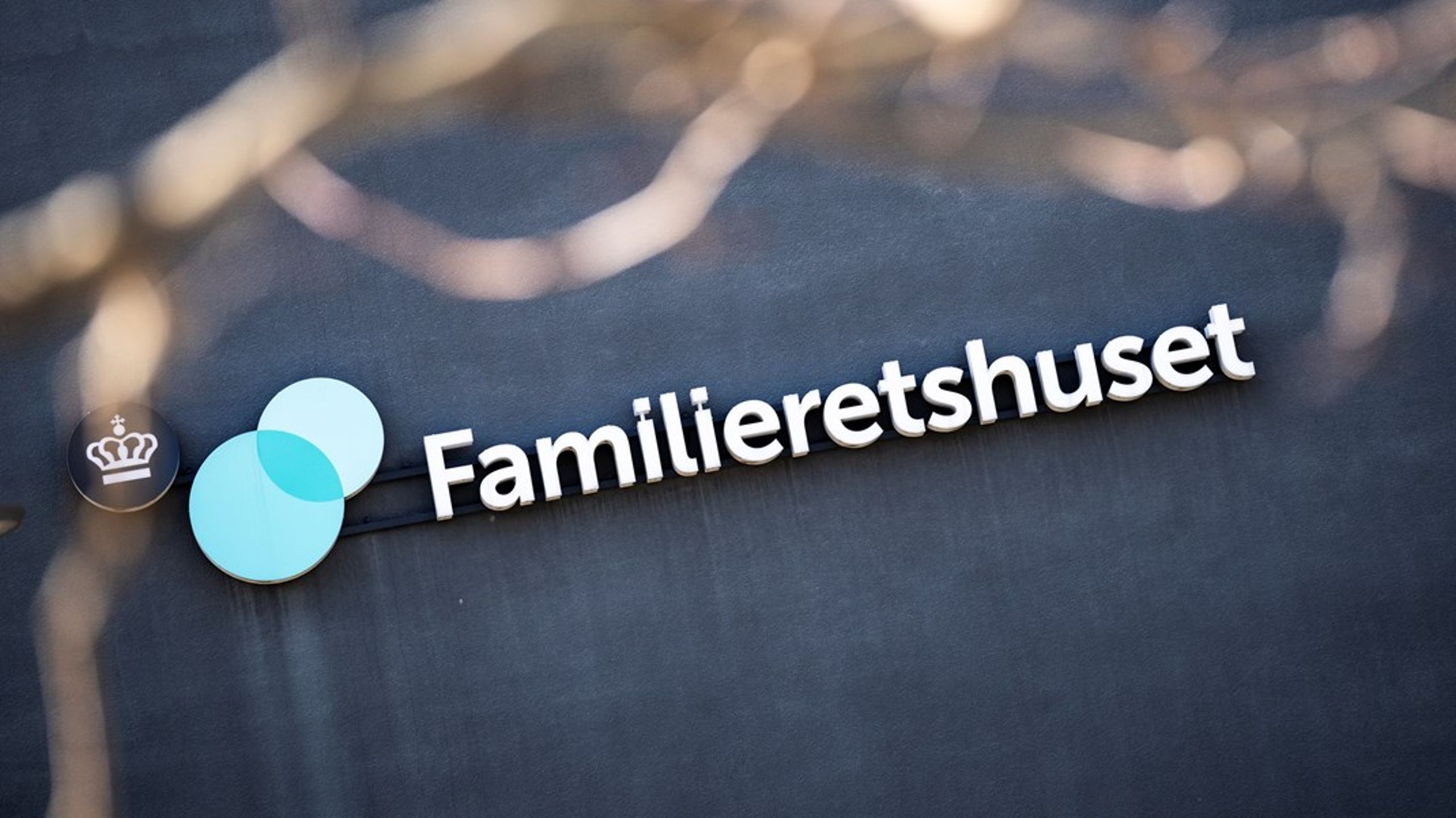 Det gør ondt på alle medarbejdere i Familieretshuset, når der kommer den slags udokumenterede påstande om deres arbejdsplads,&nbsp;skriver Anette Hummelshøj og Andreas Berggreen.