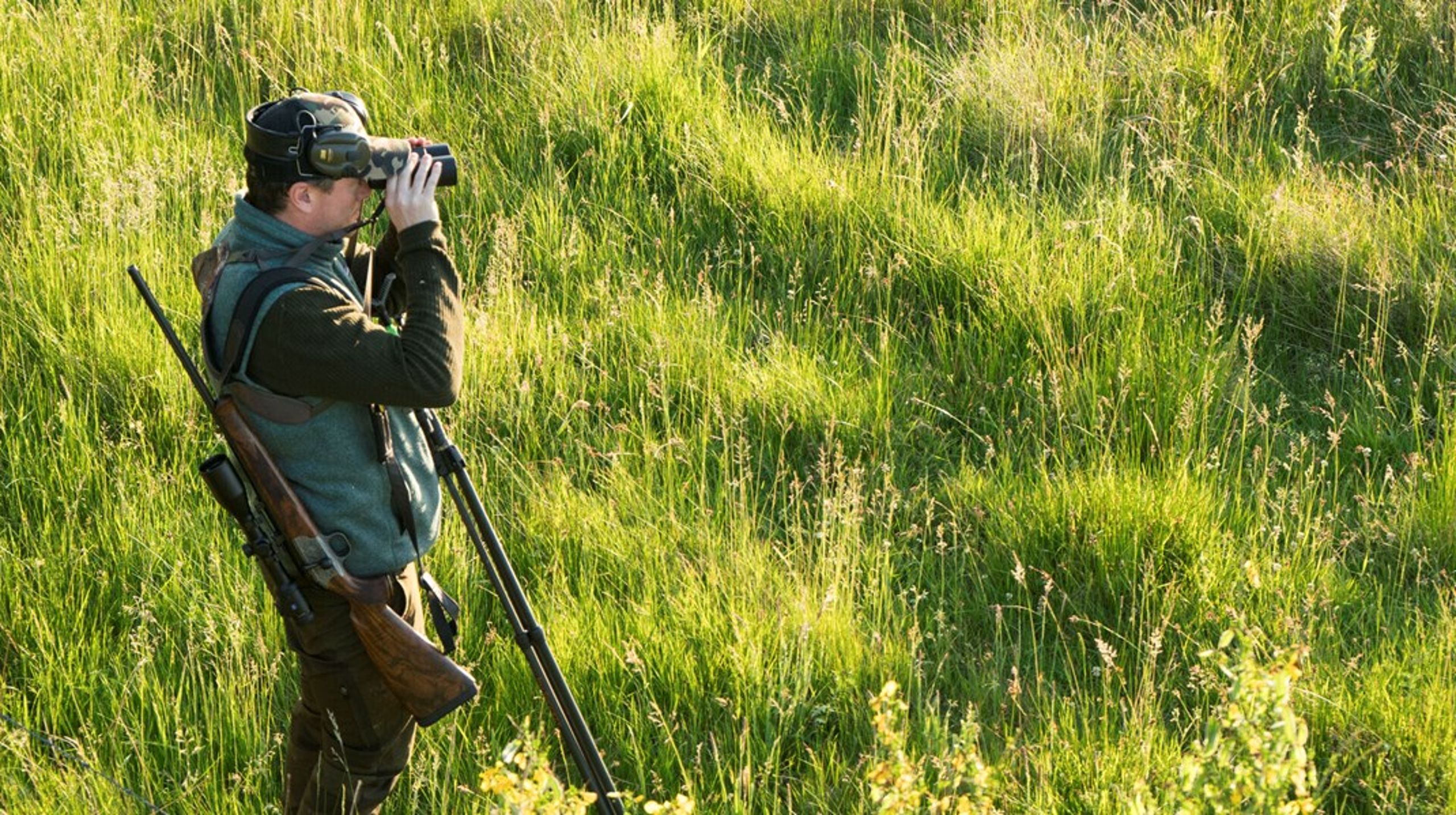 Skal demokratiet i dansk vildtforvaltning sikres ved i højere grad at invitere hr. og fru Jensen med til forhandlingsbordet, forestår der en enorm og årtiers lang opgave med at udbrede viden om, hvad jagt og vildtforvaltning handler om, skriver Niels Kanstrup og Hans Peter Hansen.