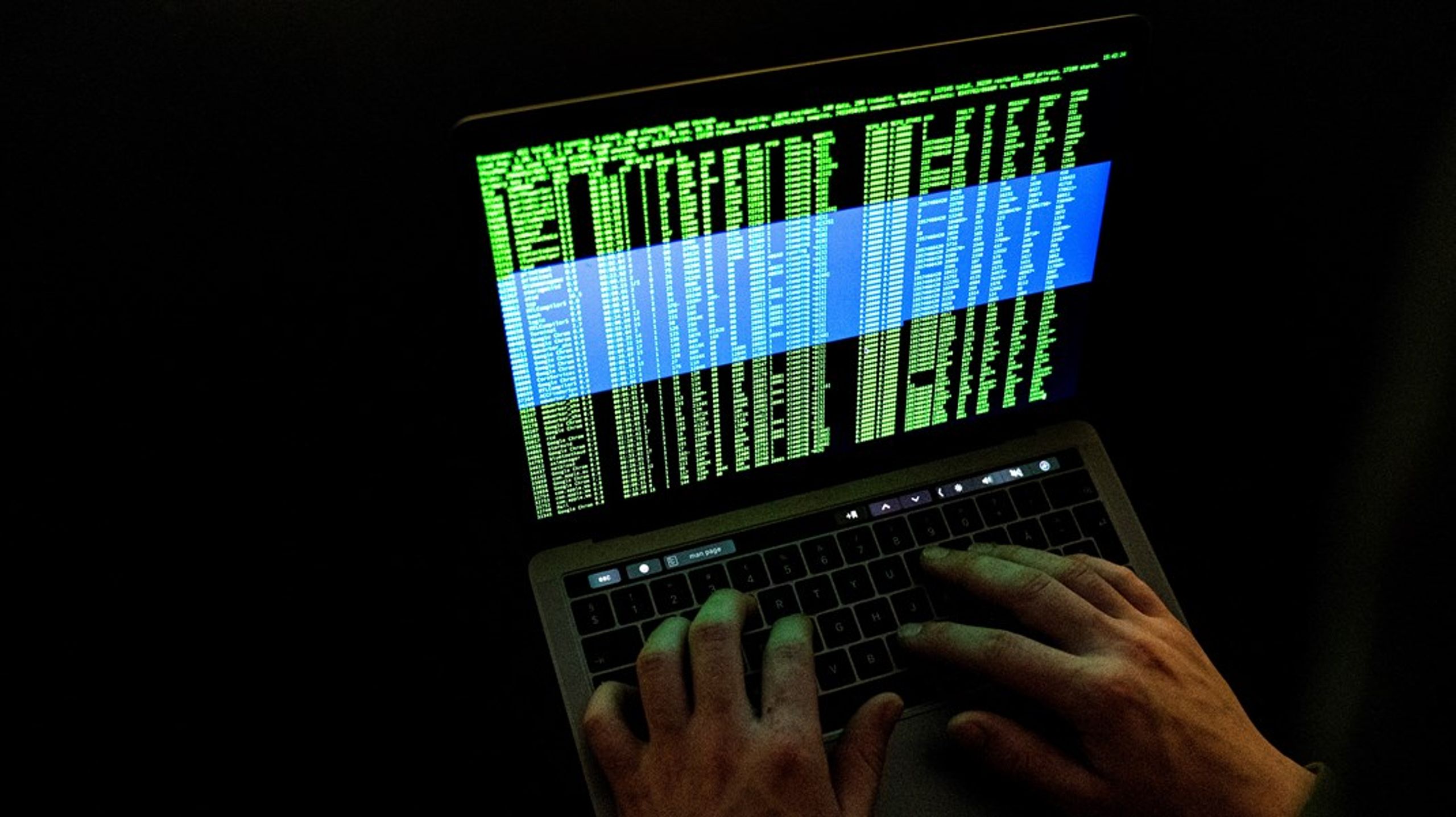 Jan Kaastrup og Michael Sjøberg&nbsp;viser, at bekæmpelsen af cyberkriminalitet i høj grad er en holdsport, skriver Mille Østerlund.