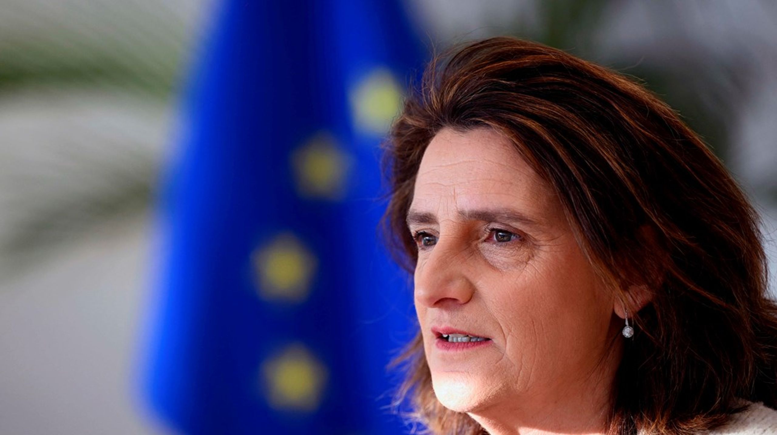 Spanske Teresa Ribera er træt af sine kollegers jagt efter grønne regler, der kan sløjfes.