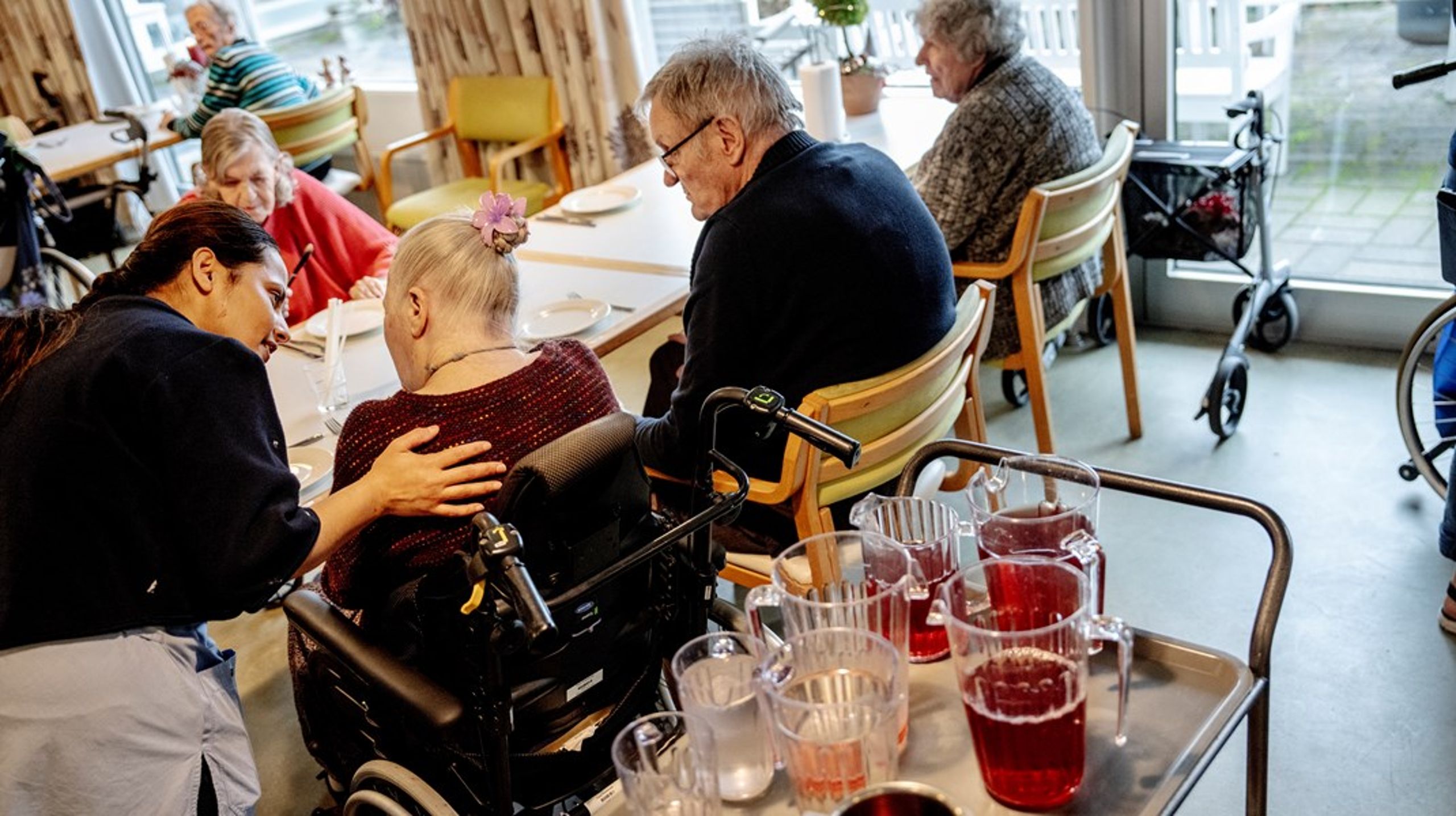 Dansk Folkeparti og Liberal Alliance er med hver deres næb gået i flæsket på den nytiltrådte ældreminister Henrik Frandsen og hans forklaring om, at "det er dyrt at starte noget op", skriver Søren Søndergaard.
