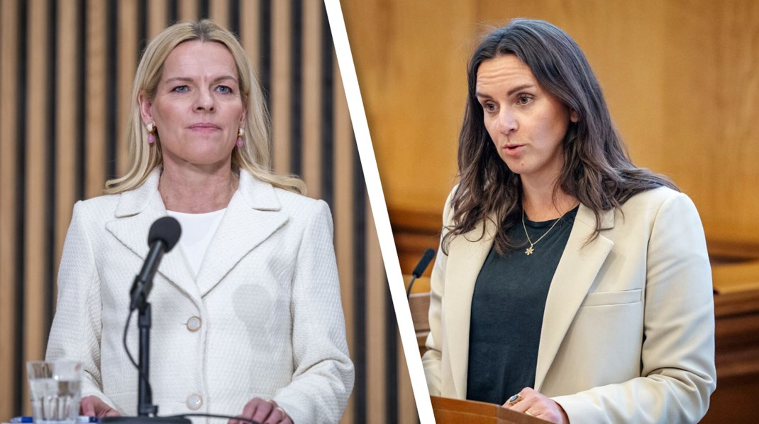 Monika Rubin er tilbage som politiks ordfører for Moderaterne. Mette Kierkgaard bliver social-, udenrigs- og udviklingsordfører.