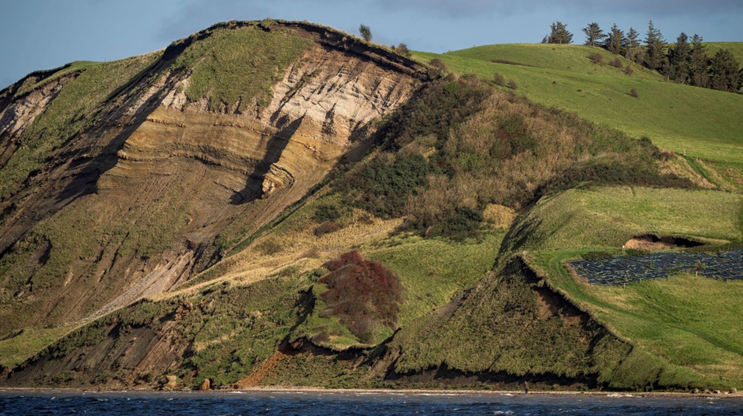 Fonden ansætter både en direktør og programchef til området.