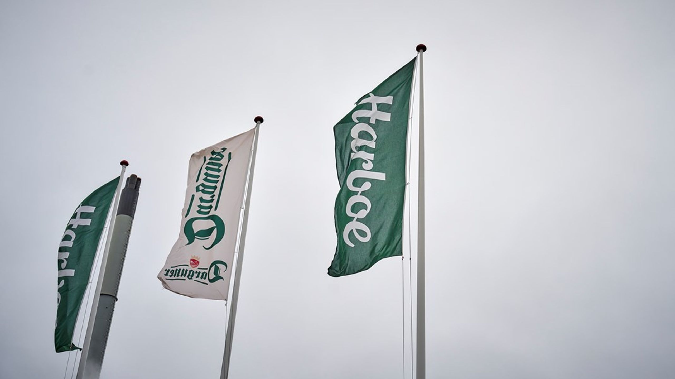 Camilla Blicher Simonsen er ny slagsdirektør i Harboes Bryggeri.