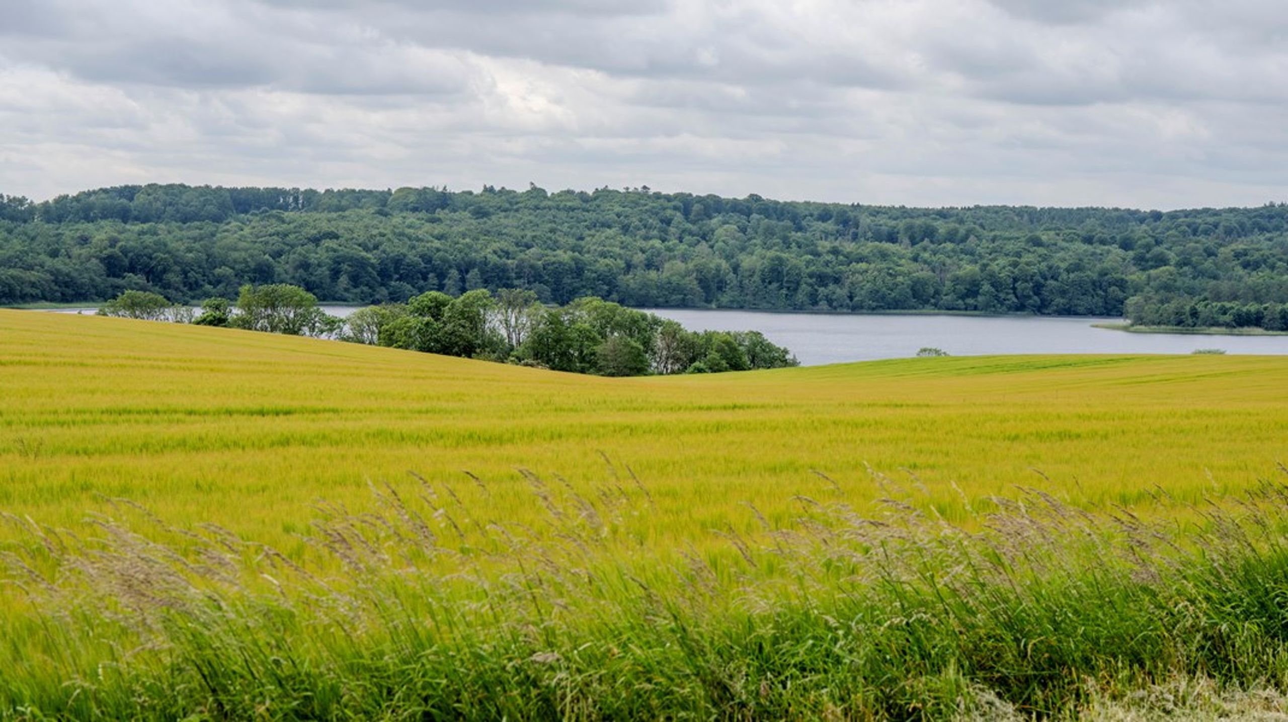 Anvendelsen af IUCN’s forvaltningskategorier giver mulighed for at afgrænse, hvilke naturområder der er strengt beskyttede, som forudsat i EU's biodiversitetsstrategi, skriver&nbsp;Bo Normander, Jan Woollhead, Anette Petersen, Franklin Feyeh og Ann-Katrine Garn.