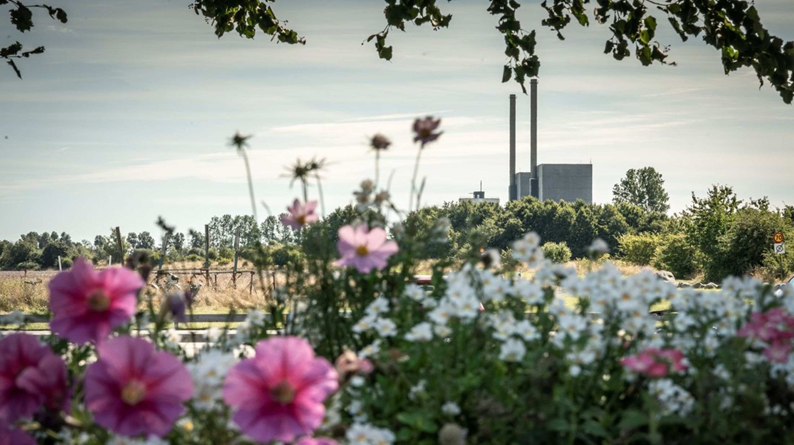 Klimadebatten er flyttet ind i andre politiske felter – landbrug, sundhed, fødevarer, natur, energi og national sikkerhed. Det er ikke længere én samlet klimadebat, men en række konkrete konflikter, hvor miljøhensyn, sundhed og forsyning støder sammen, skriver Anna Ebbesen.