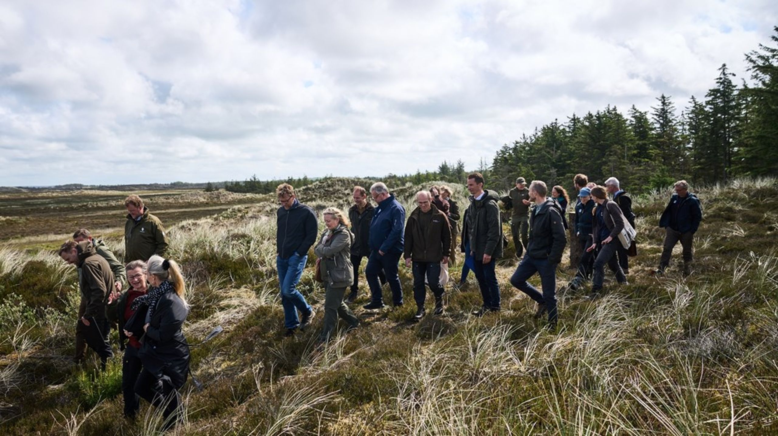 Flere naturfonde er i forvejen gået sammen om at opkøbe store sammenhængende jordarealer i Thy. Nu vil Novo Nordisk Fonden og 15. Juni Fonden også bidrage til de kommunale planer.&nbsp;&nbsp;&nbsp;