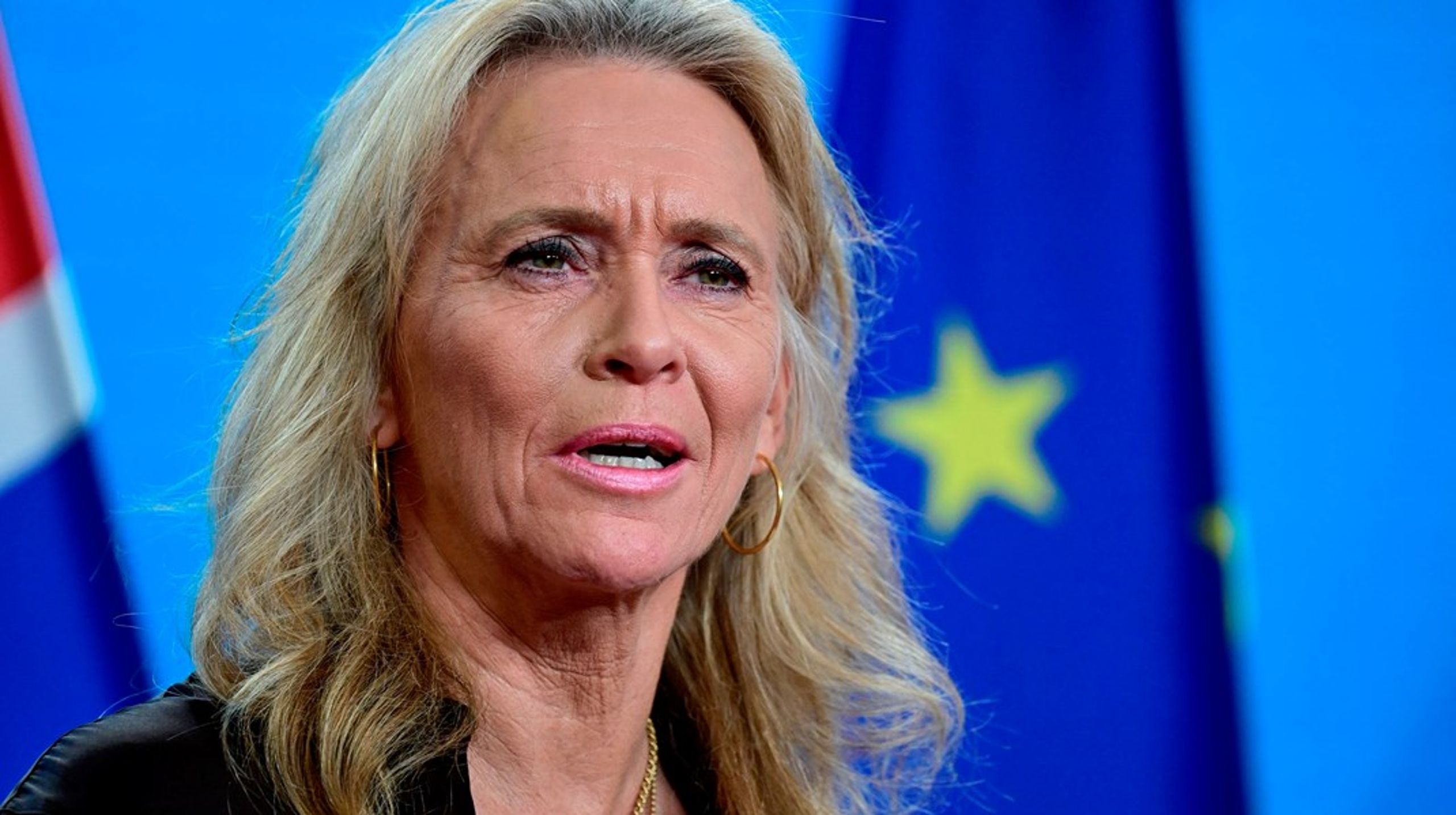 Den islandske regering ønsker 29. august at afholde en folkeafstemning om at genoptage tiltrædelsesforhandlinger med EU, siger udenrigsminister, Katrin Gunnarsdottir.