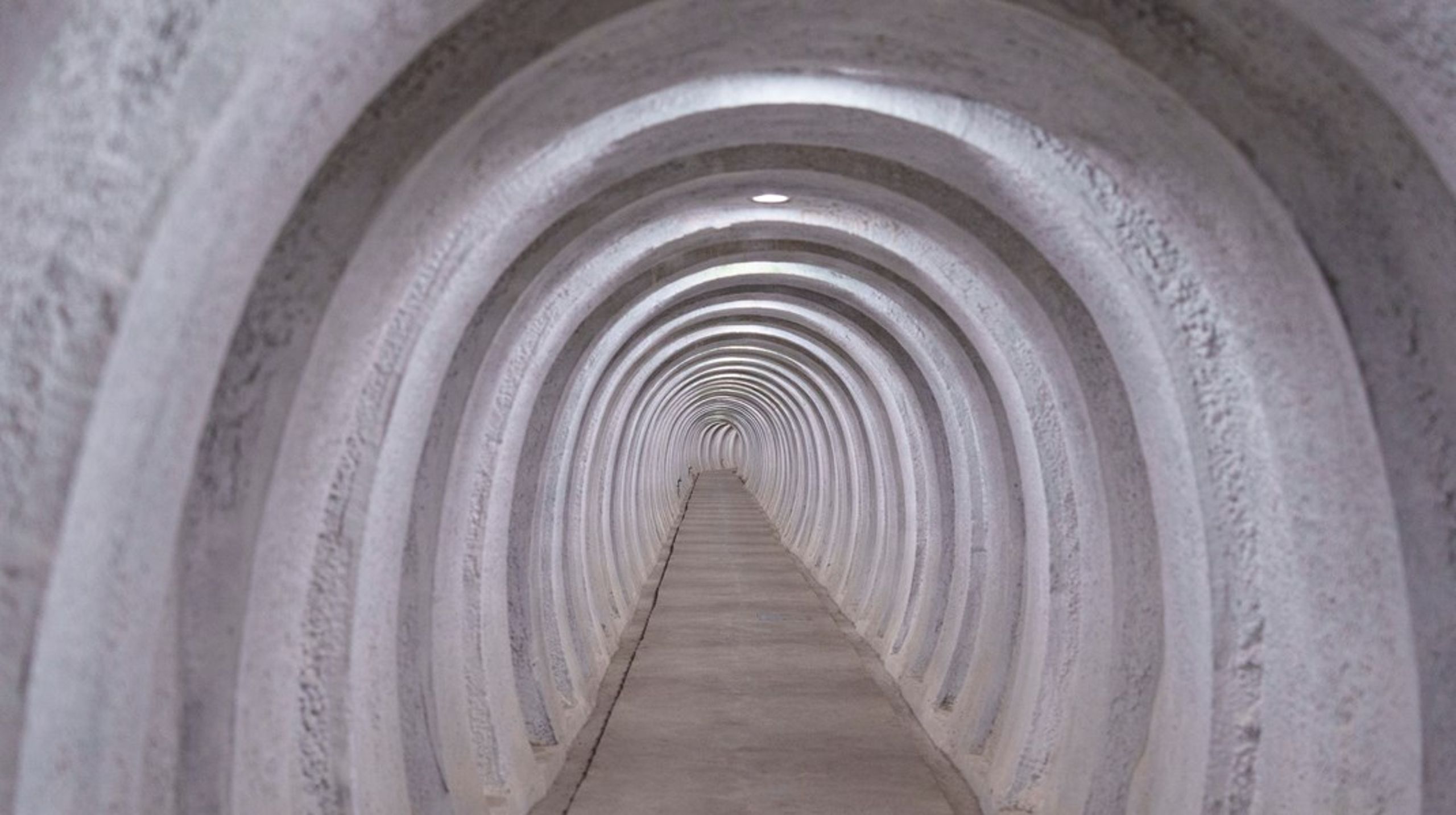 Vi har&nbsp;omdannet&nbsp;det anlæg, der skal beskytte os i en krig mod Rusland,&nbsp;til et museum, i den tro at territorialkrig hører fortiden til. Den beslutning ville man&nbsp;næppe&nbsp;turde tage i dag,&nbsp;skriver Søren Lippert.