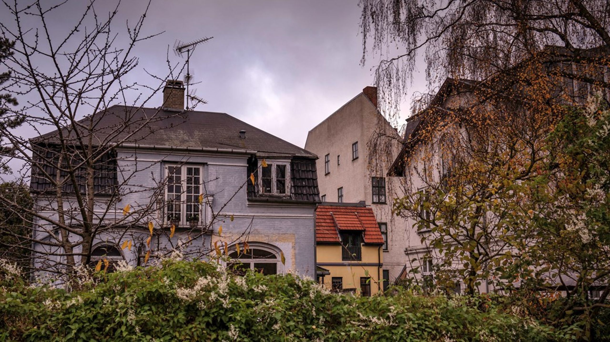 Ejer, lejer eller andel - hvordan bor partiernes vælgere? Det har professor Kasper Møller Hansen, Københavns Universitet, undersøgt for Altinget.
