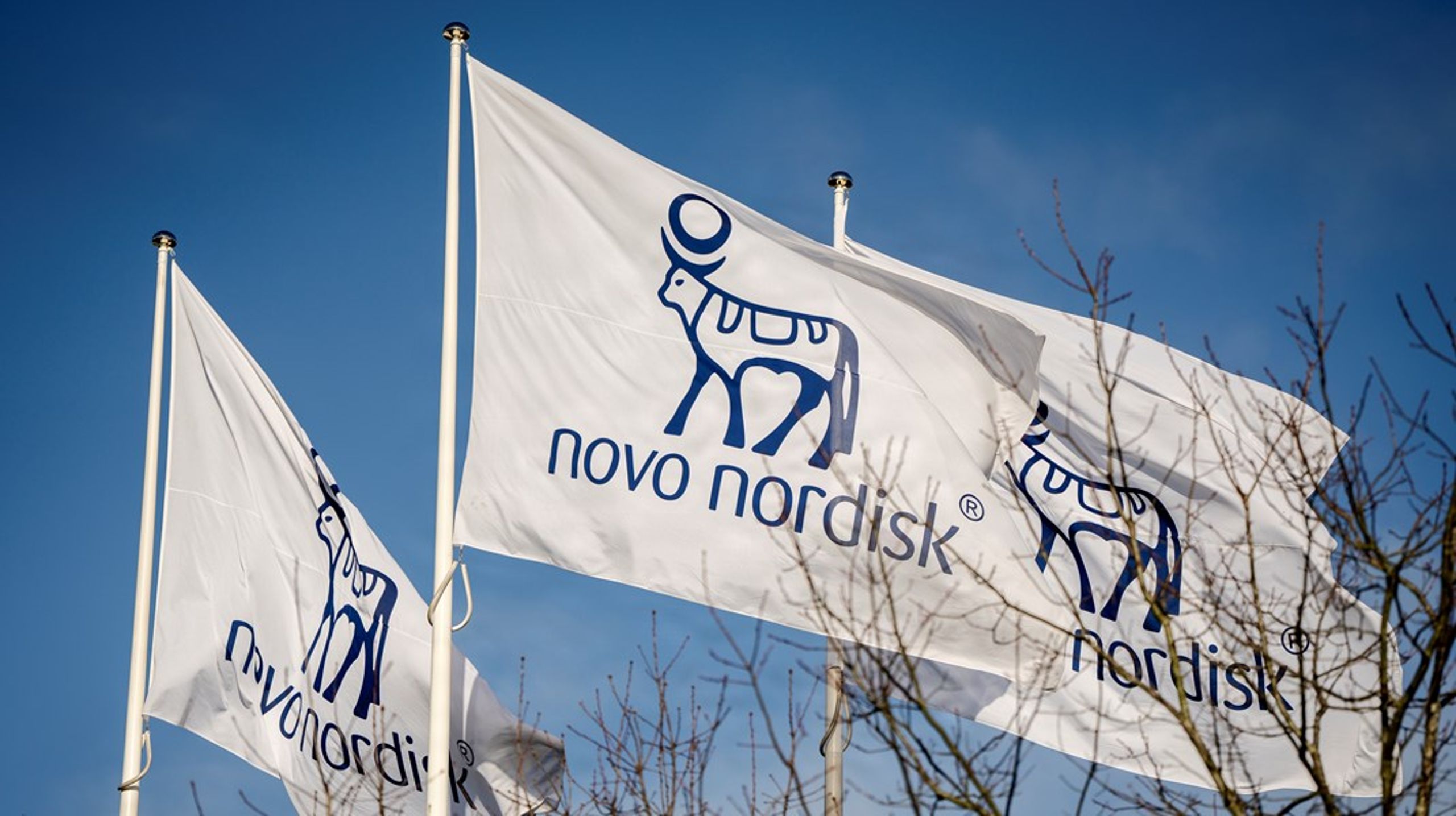 Novo Nordisks hovedejer står til at indkassere knap to milliarder kroner i skattelettelse, hvis Venstres forslag om at sænke selskabsskatten til 20 procent, bliver en realitet. Arkivfoto.&nbsp;
