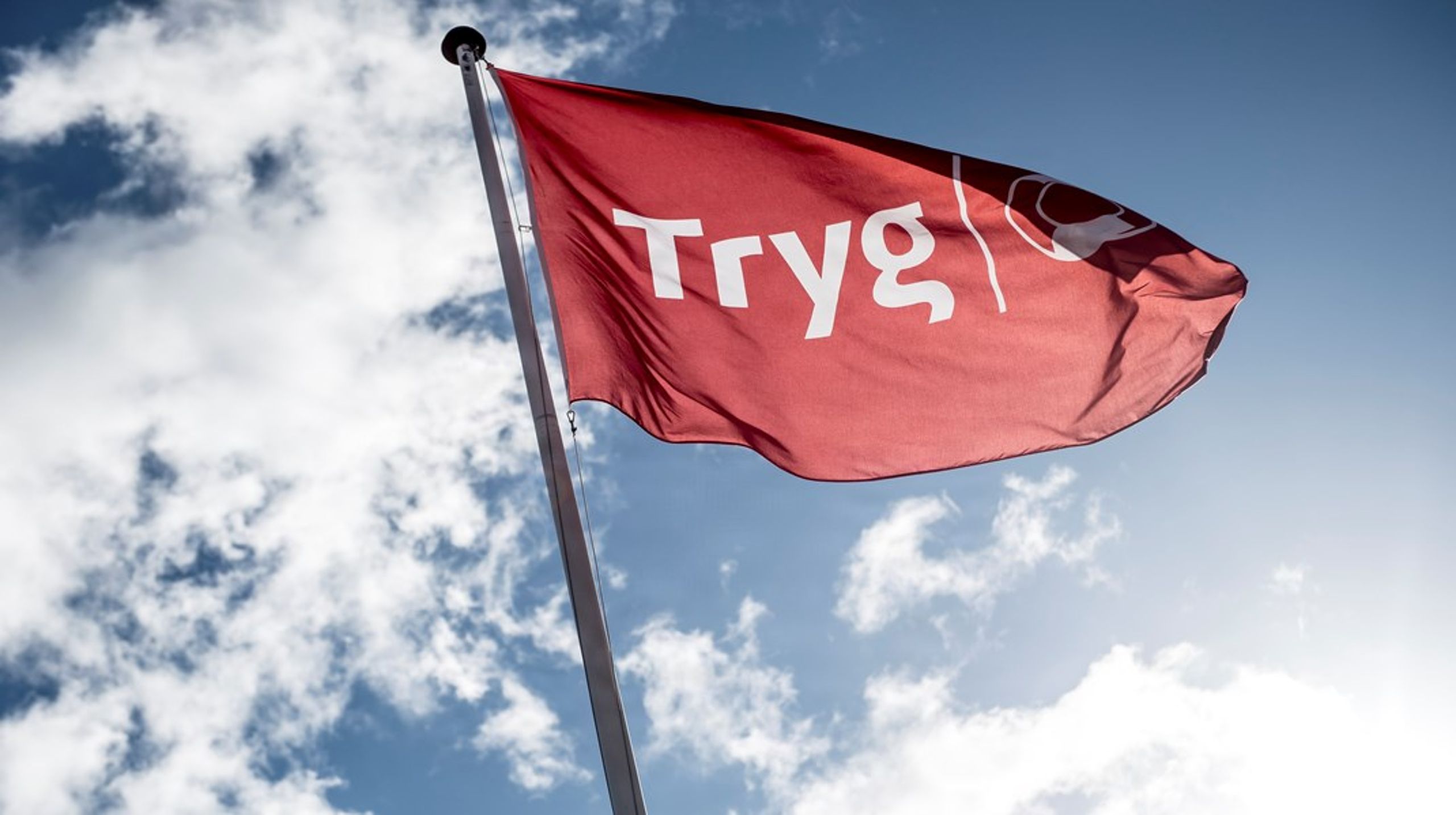 Vi har en vigtig opgave med fortsat at styrke og udvikle både trygheden i Danmark, det langsigtede ejerskab af Tryg og det medlemsdemokratiske arbejde i TryghedsGruppen, siger Jørn Rise Andersen.