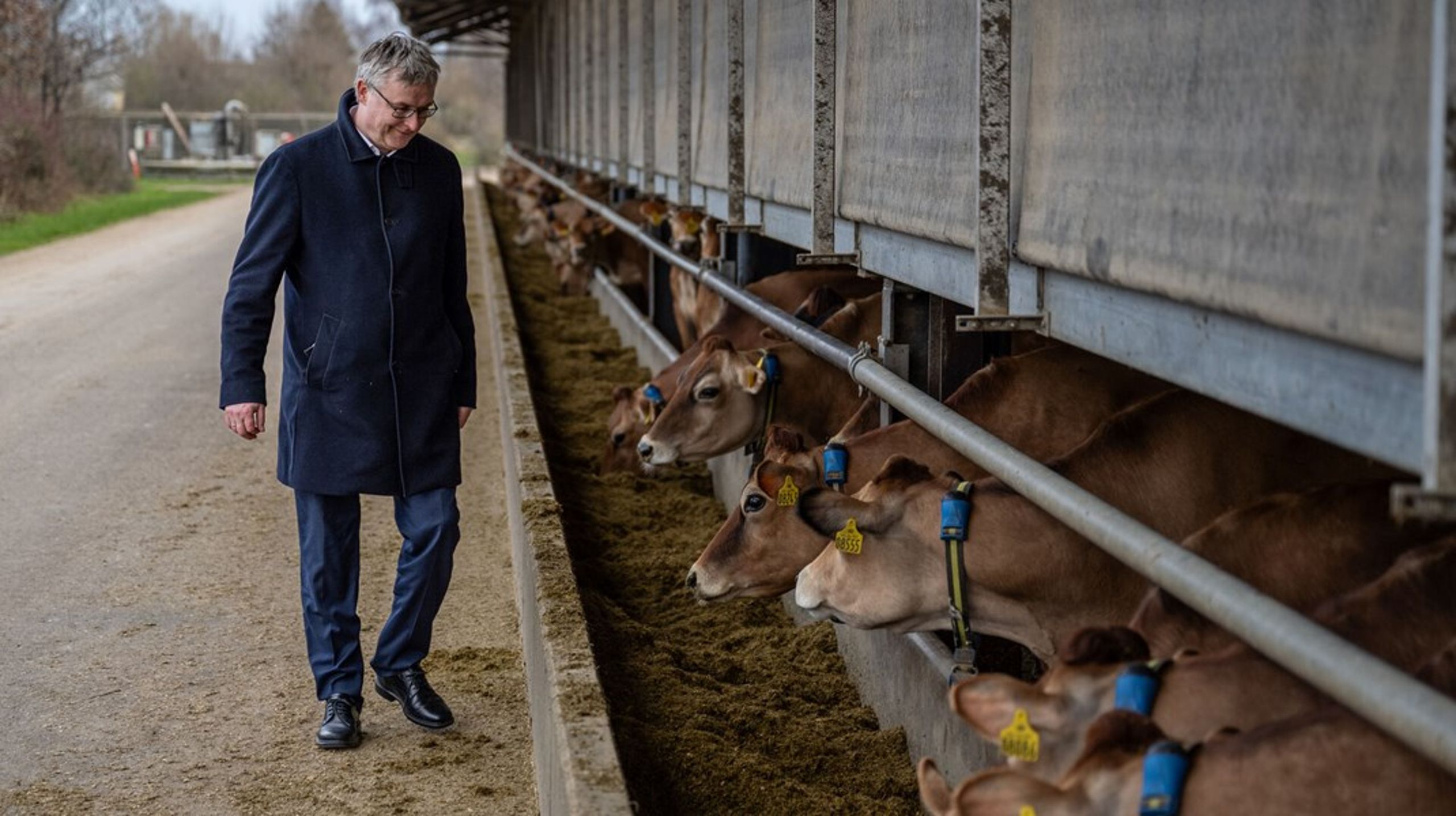 <div>Landbrugsminister og Venstre-mand Jacob Jensen besøgte i 2024&nbsp;kvægbruget Salsbjerggård. Han er født og opvokset lidt uden for Tølløse og og bor få hundrede meter fra sin&nbsp;fødegård, som broren driver landbrug.</div>