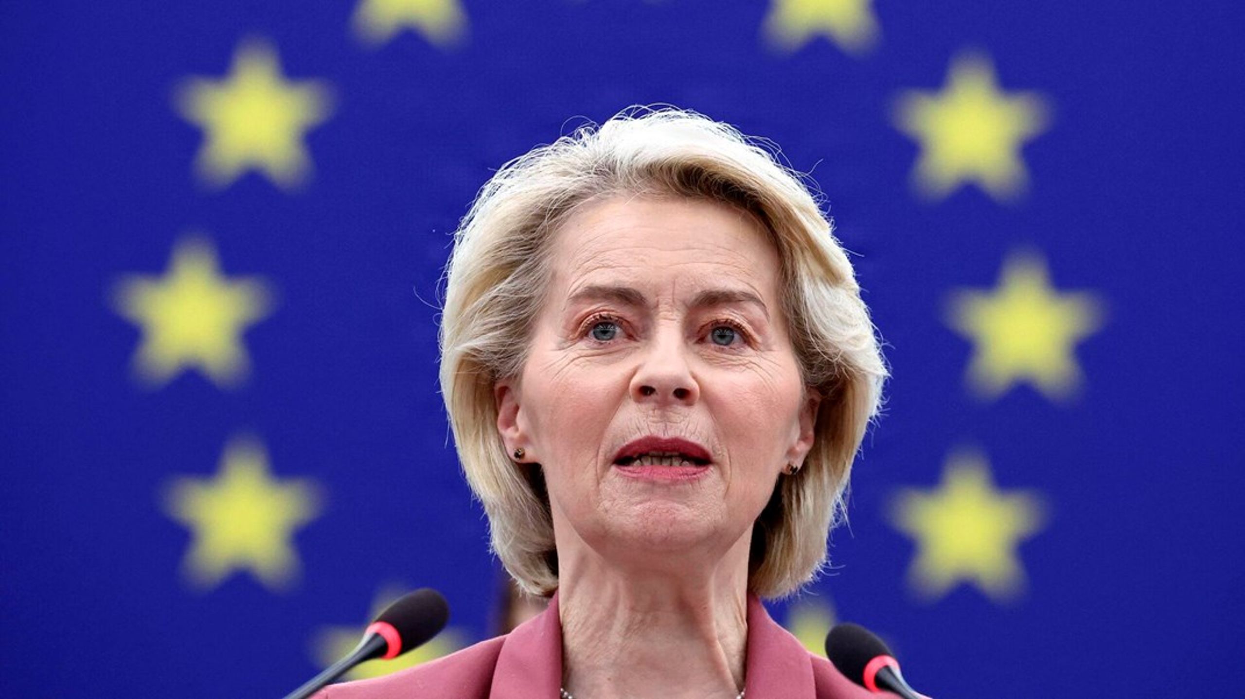 I en verden præget af konflikter og økonomisk tvang er suverænitet ensbetydende med mindre afhængighed, skriver Ursula von der Leyen.
