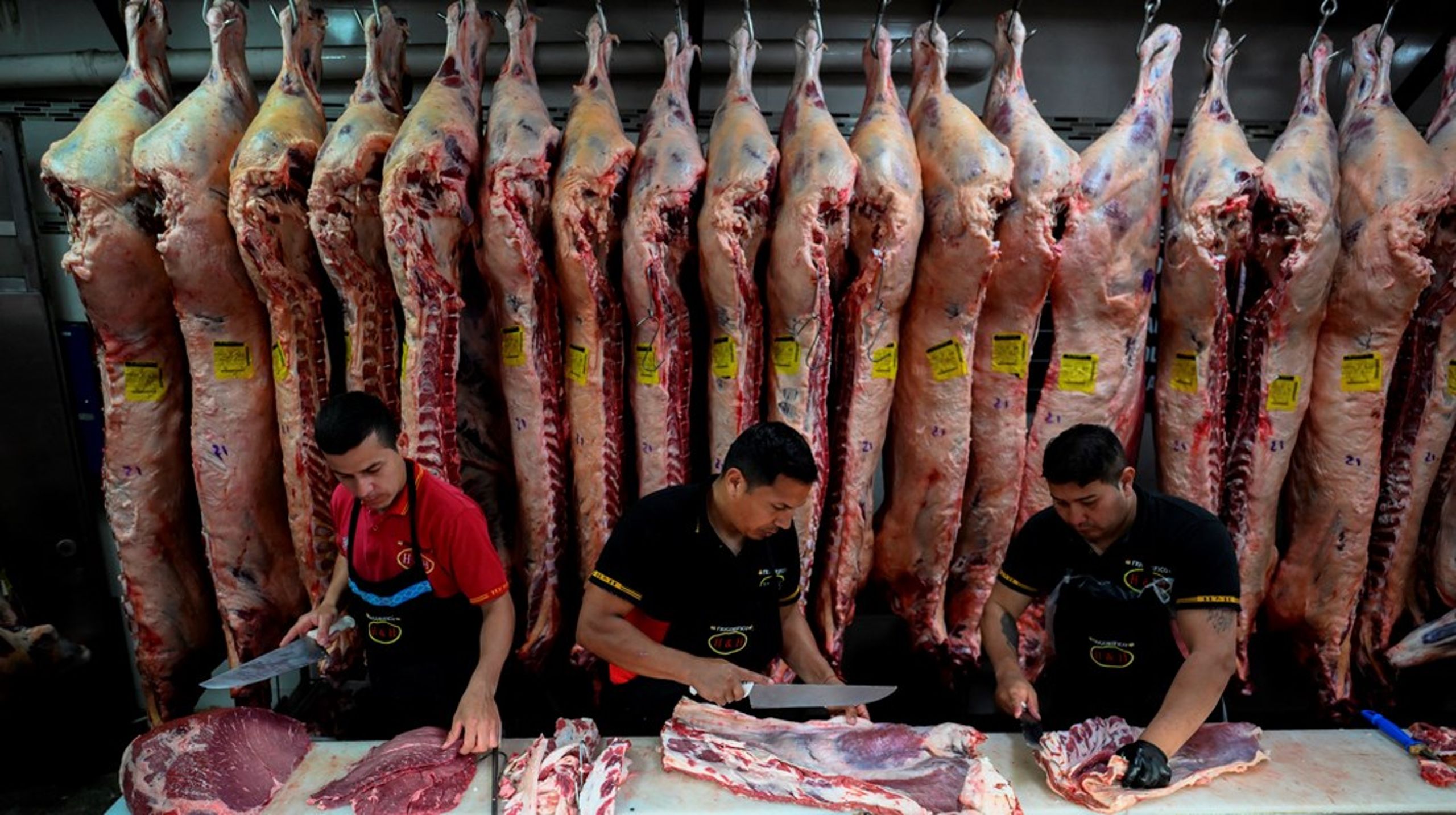 Mere argentinsk oksekød i din køledisk kan være et af resultaterne af Mercosur-aftalen, som efter adskillige års forhandlinger nu er klar til at træde i kraft.