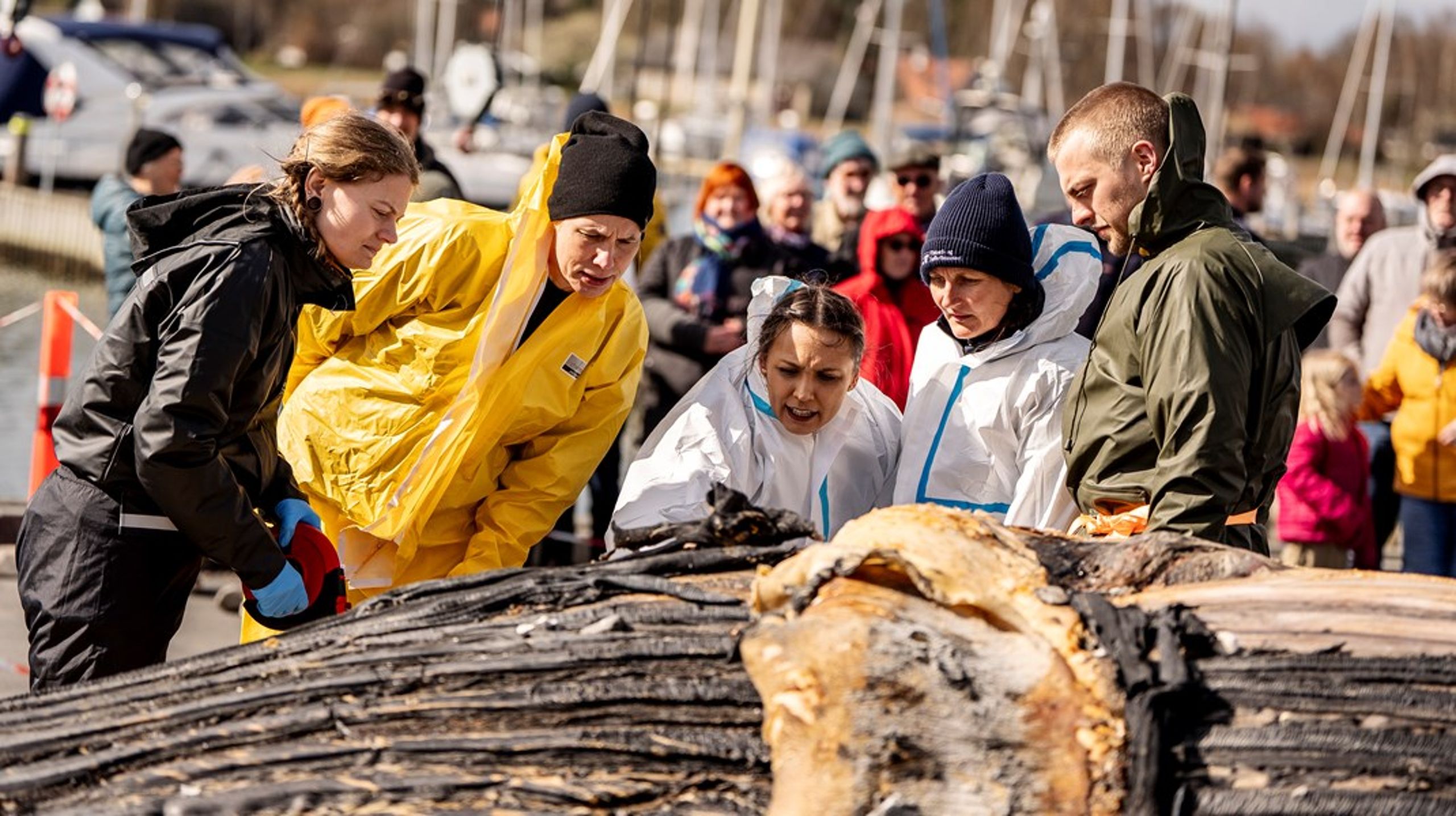Risikoen ved at spare på den forskningsbaserede rådgivning til politikere og myndigheder er, at de må tage beslutninger på et ufuldstændigt grundlag, skriver Ole Hertel og Maria Sommer Holtze.