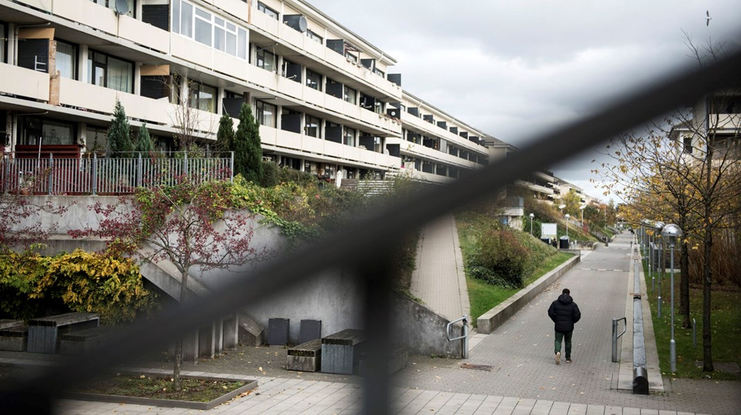 Unge mænd med rødder i de såkaldte MENAPT-lande er ifølge ny analyse markant overrepræsenteret i kriminalitetsstatistikkerne. Men i faktiske tal, fylder de meget lidt i flertallet af landets kommuner, og noget mere på Københavns Vestegn.