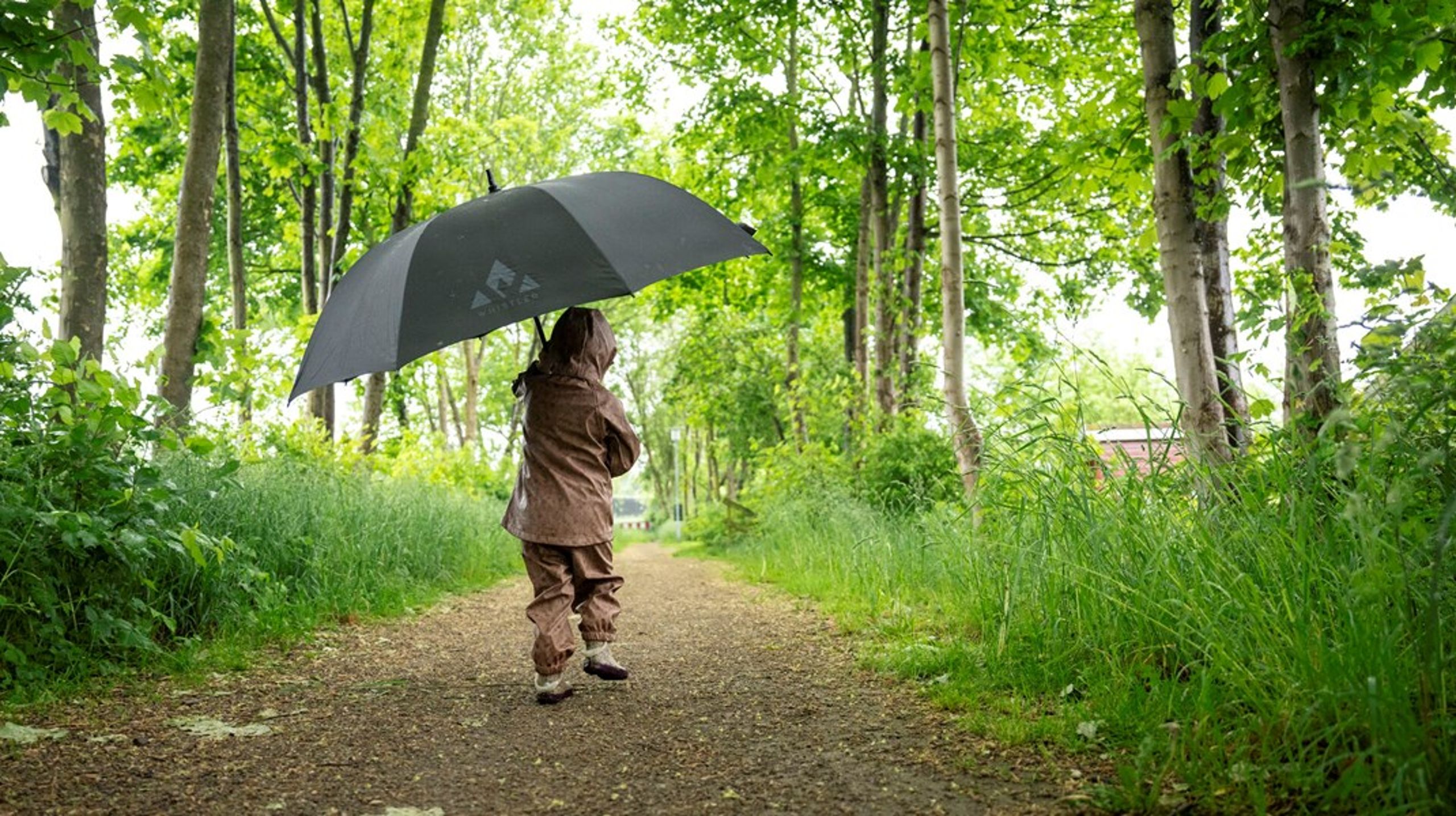 Den nye stilling går på tværs af Carelink Gruppens to søjler Job og Trivsel samt Social og Familie under koncerndirektør Mette Seeberg.