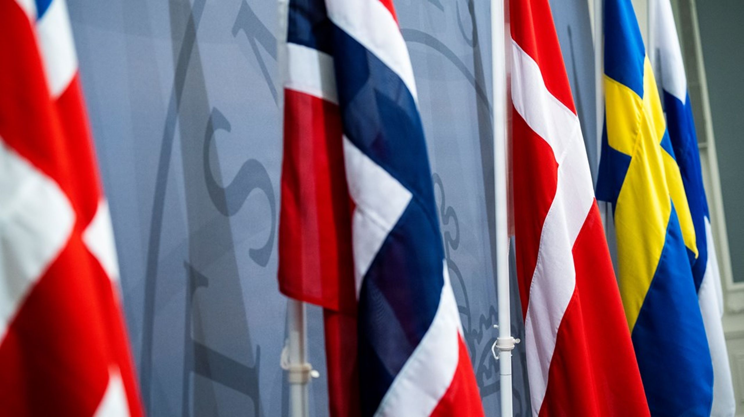 Potentialet for samarbejde er stort, men for at Norden skal forenes til et internationalt akademisk tyngdepunkt, skal det nordiske forskningssamarbejde have bedre vilkår end i dag, skriver repræsentanter fra&nbsp;Det Unge Akademi, Akademiet for yngre forskere og&nbsp;Sveriges unga akademi.