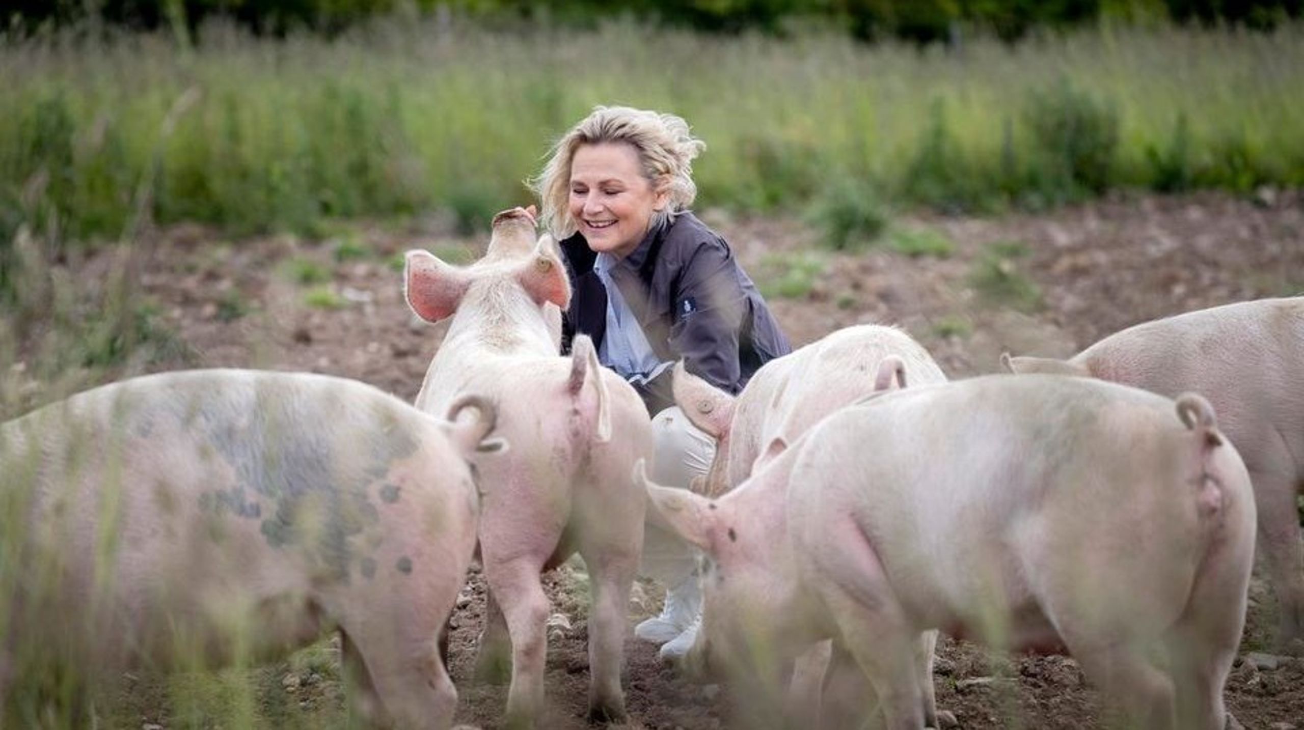 Direktør for Dyrenes Beskyttelse Britta Riis er nyt bestyrelsesmedlem i Økologisk Landsforening.