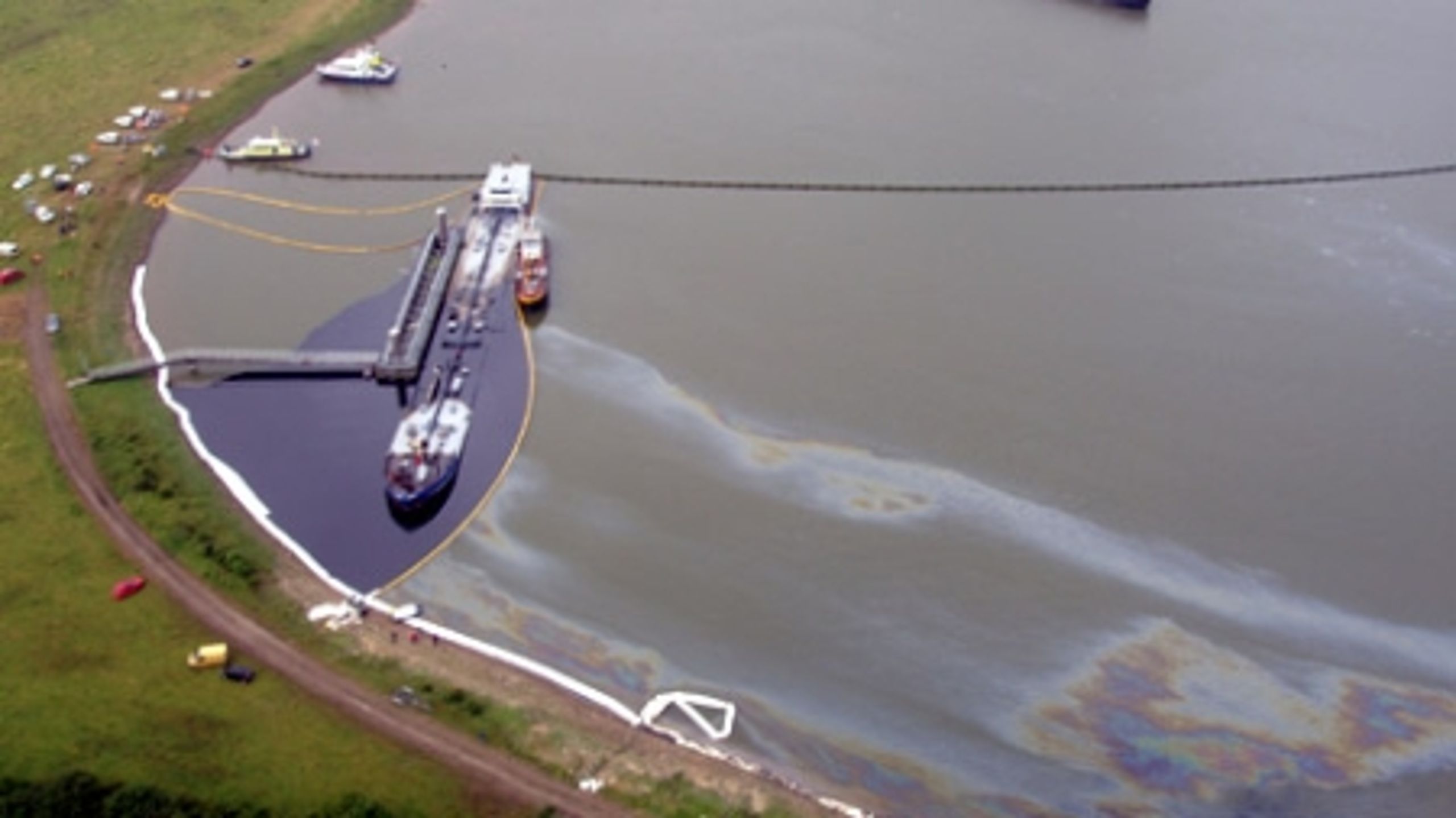 Direktøren for OSIS, der fik støtte af Miljøstyrelsen, beklager, at ansvaret for fejlene er havnet på hos kun to medarbejdere i styrelsen.