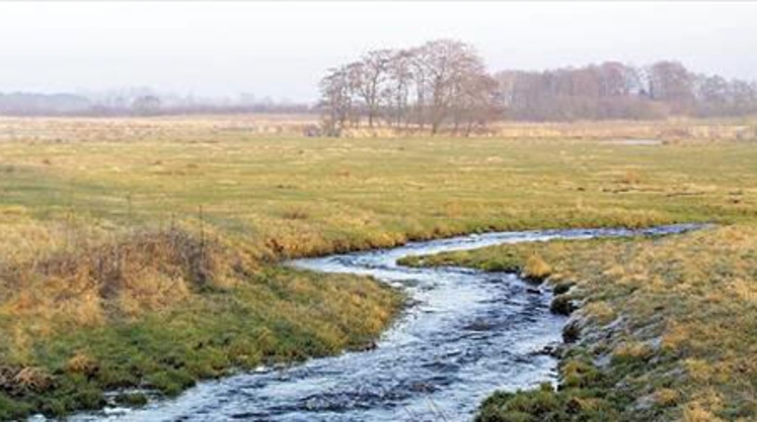 Mange kommuner har været usikre på, hvordan de skal forholde sig til landbrug, der ligger tæt på sårbare naturområder.