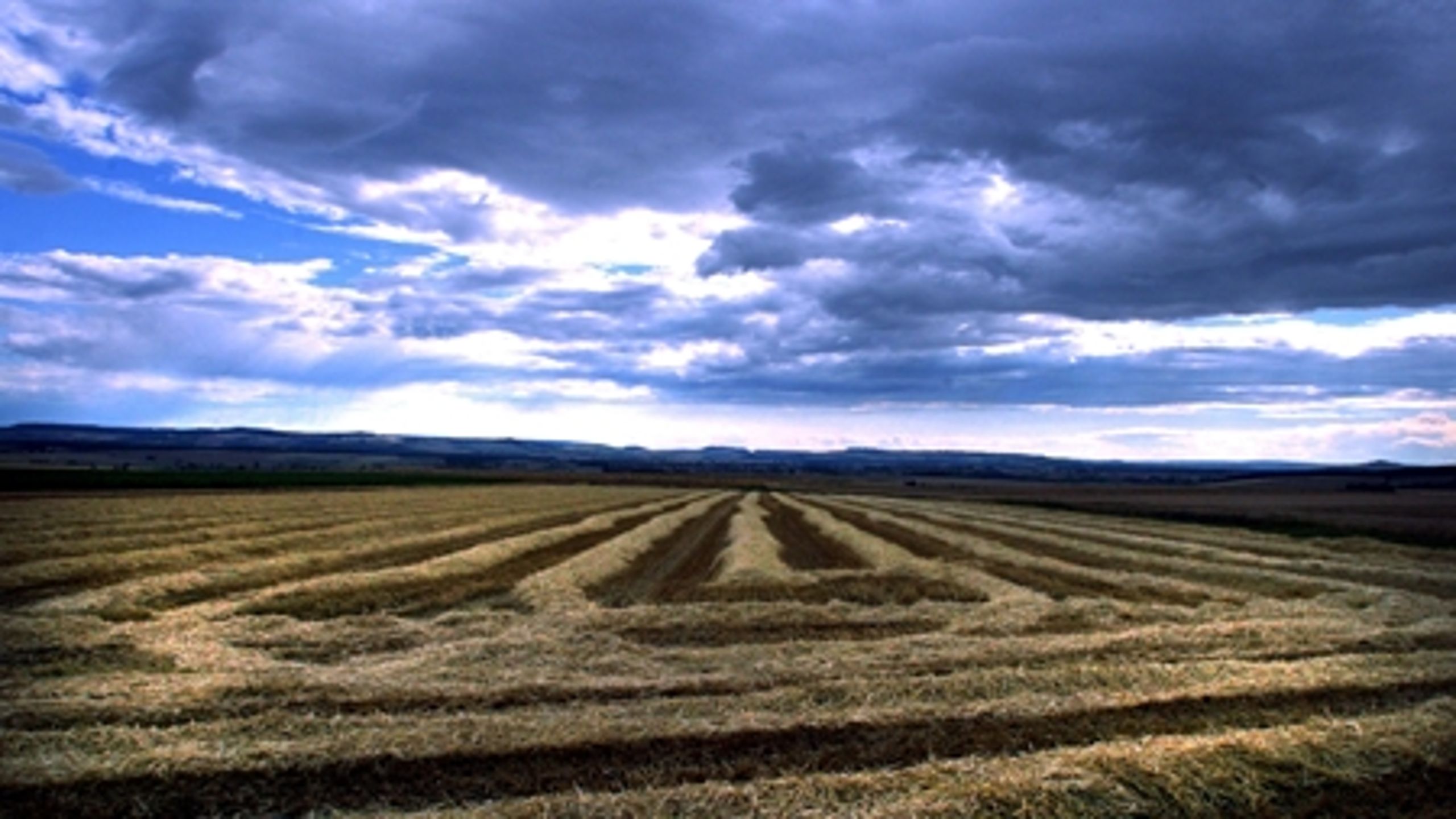 Højere temperaturer kan gavne landbruget i Danmark, mens det vil få uheldige konsekvenser andre steder i verden.
