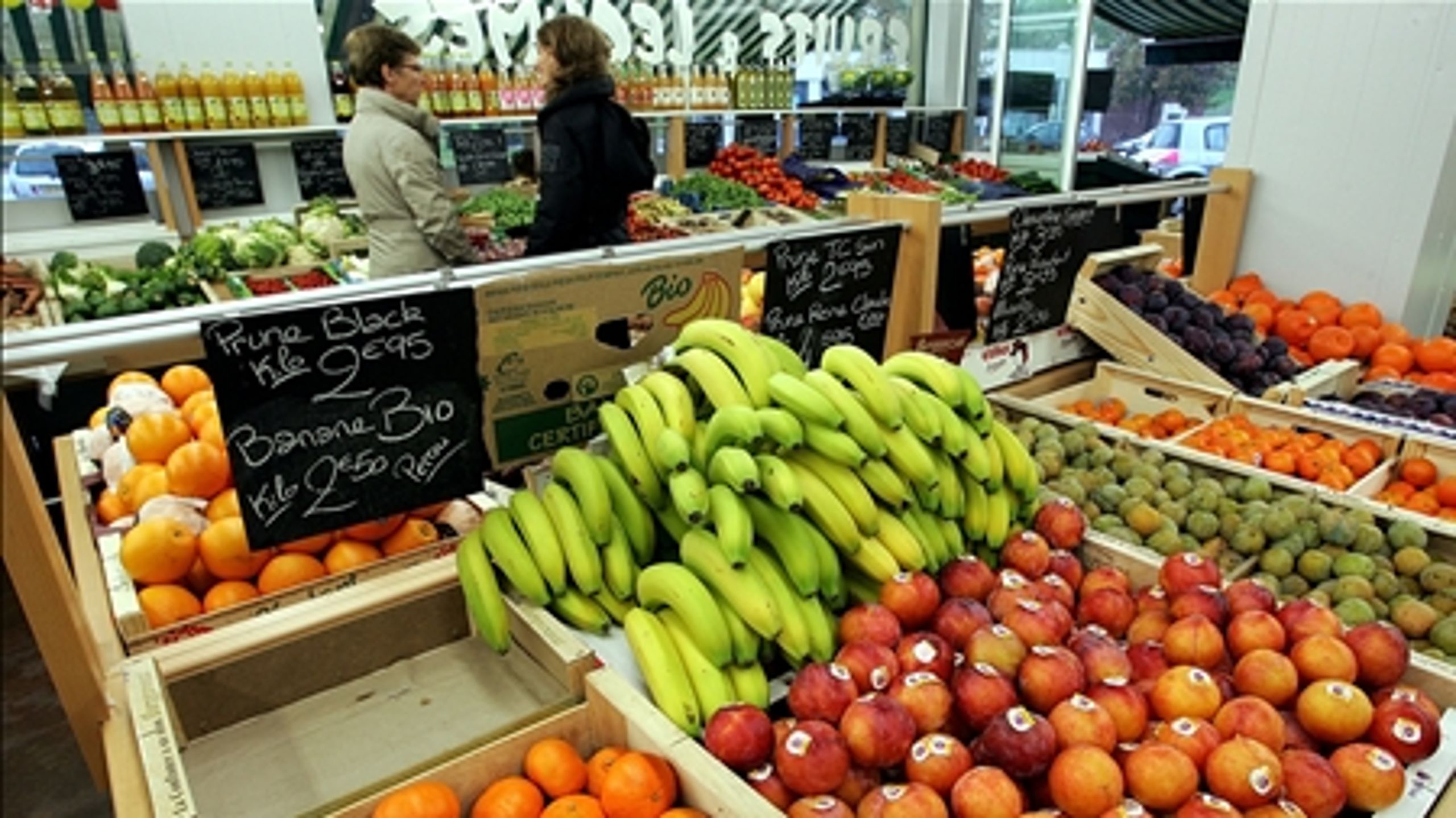 De ti medlemmer af Forebyggelseskommissionen skal blandt andet kigge på konsekvenserne af at fjerne momsen på frugt og grønt.