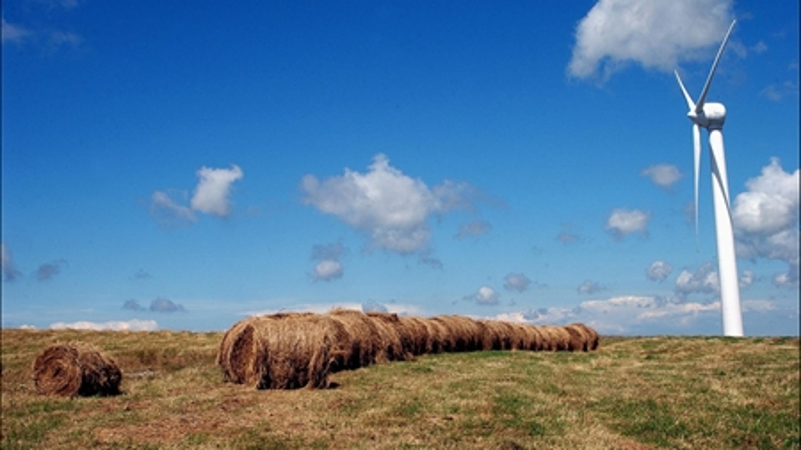 Miljø- og Planlægningsudvalget havde i går kaldt miljøministeren i samråd.