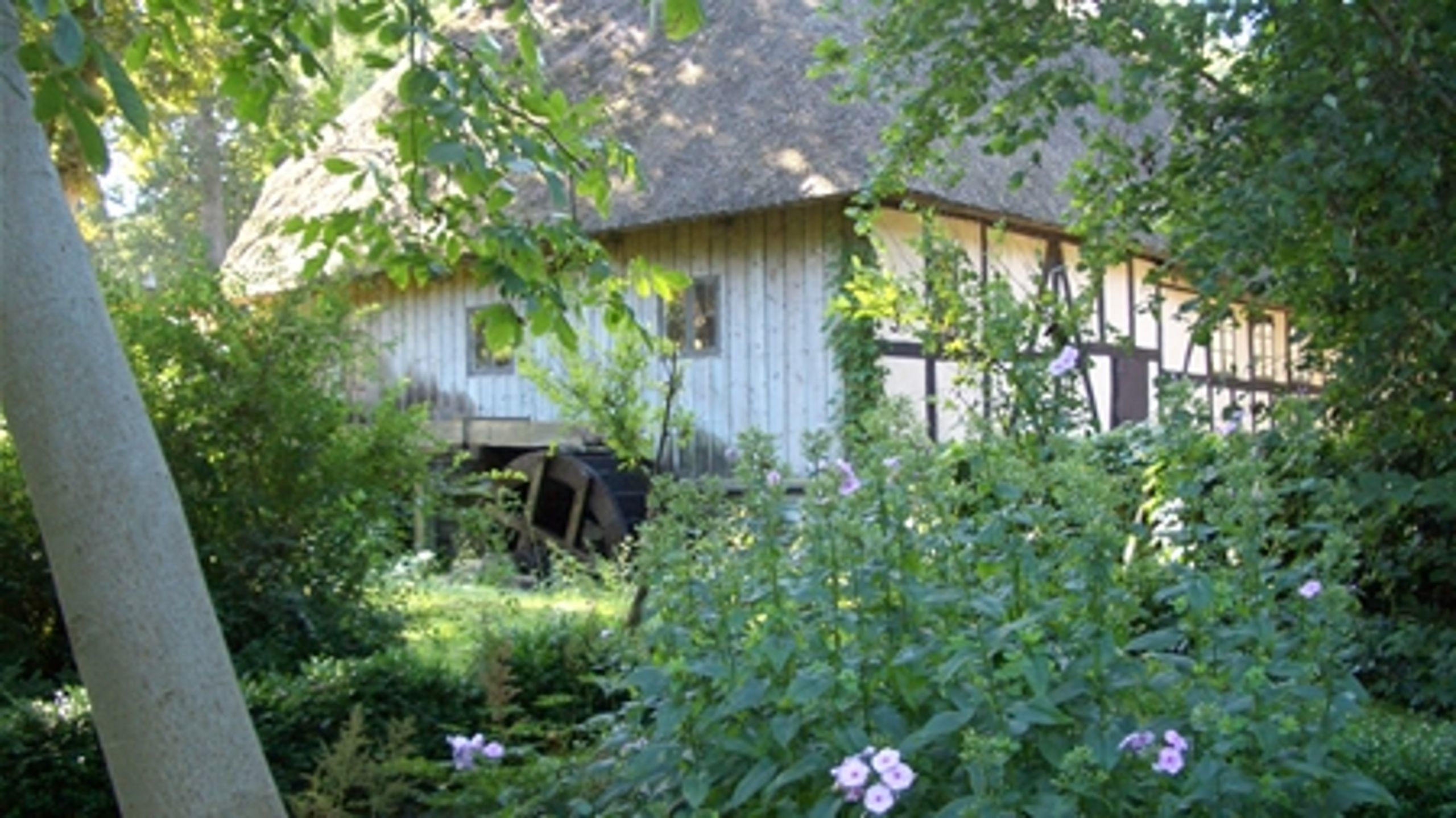 Nationalmuseet stod bag sikringen og fredningen af den østfynske Lille Mølle fra 1827  - en værdig, historisk ramme om Altinget.dks grundlovsmøde 2008.