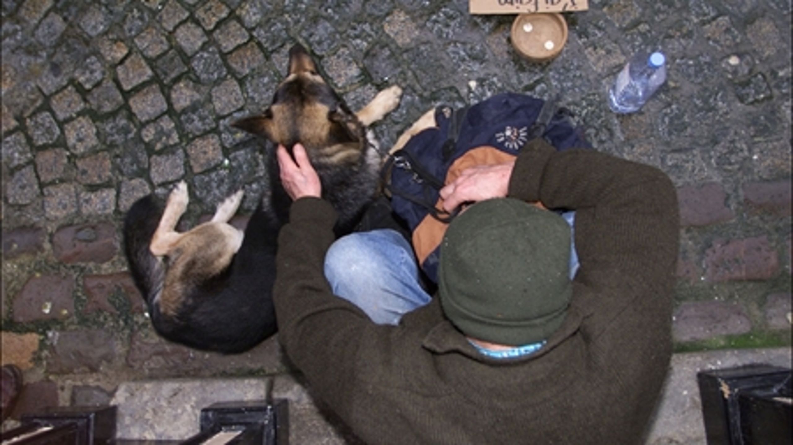 Hjemløse med indvandrerbaggrund er overrepræsenteret i de store danske byer. 