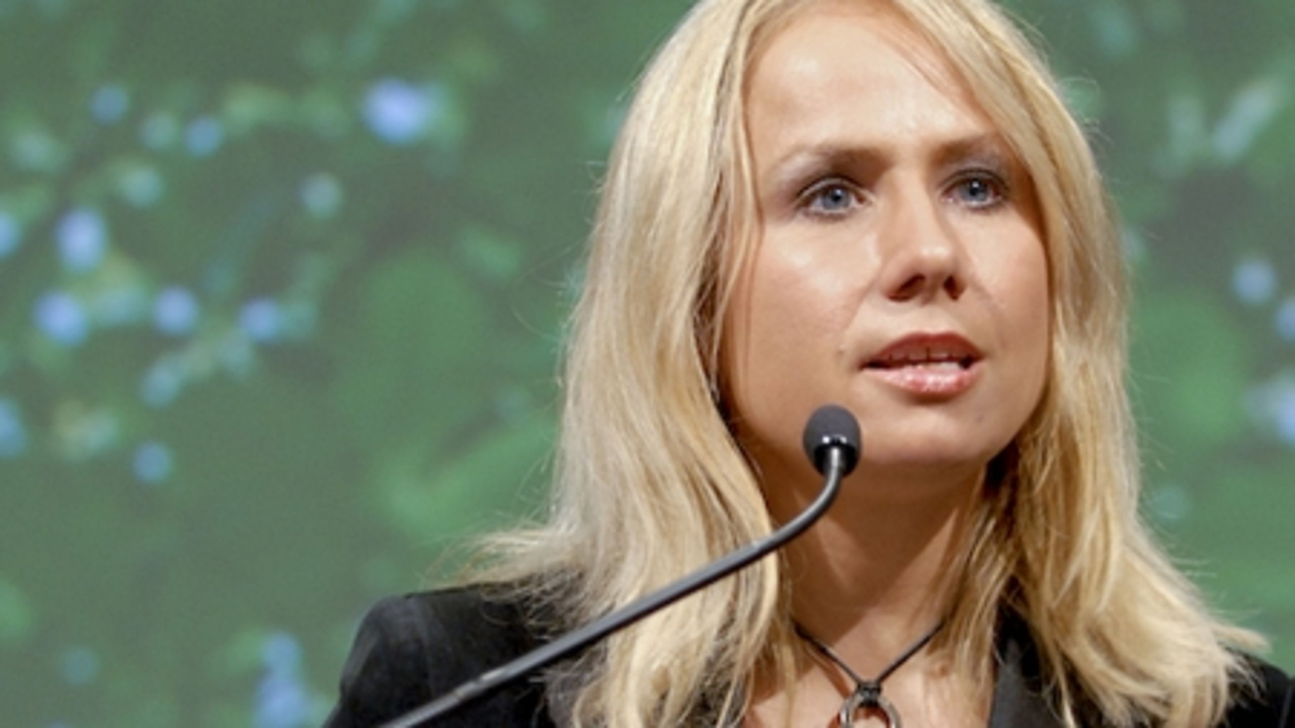 Den konservative europaordfører Helle Sjelle ønsker mere tid og et bedre grundlag for behandlingen af EU-sager i Folketingets Europaudvalg.